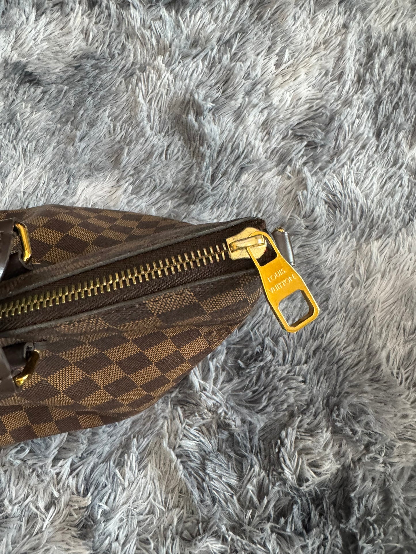 Louis Vuitton Sienna MM in Damier Ebene