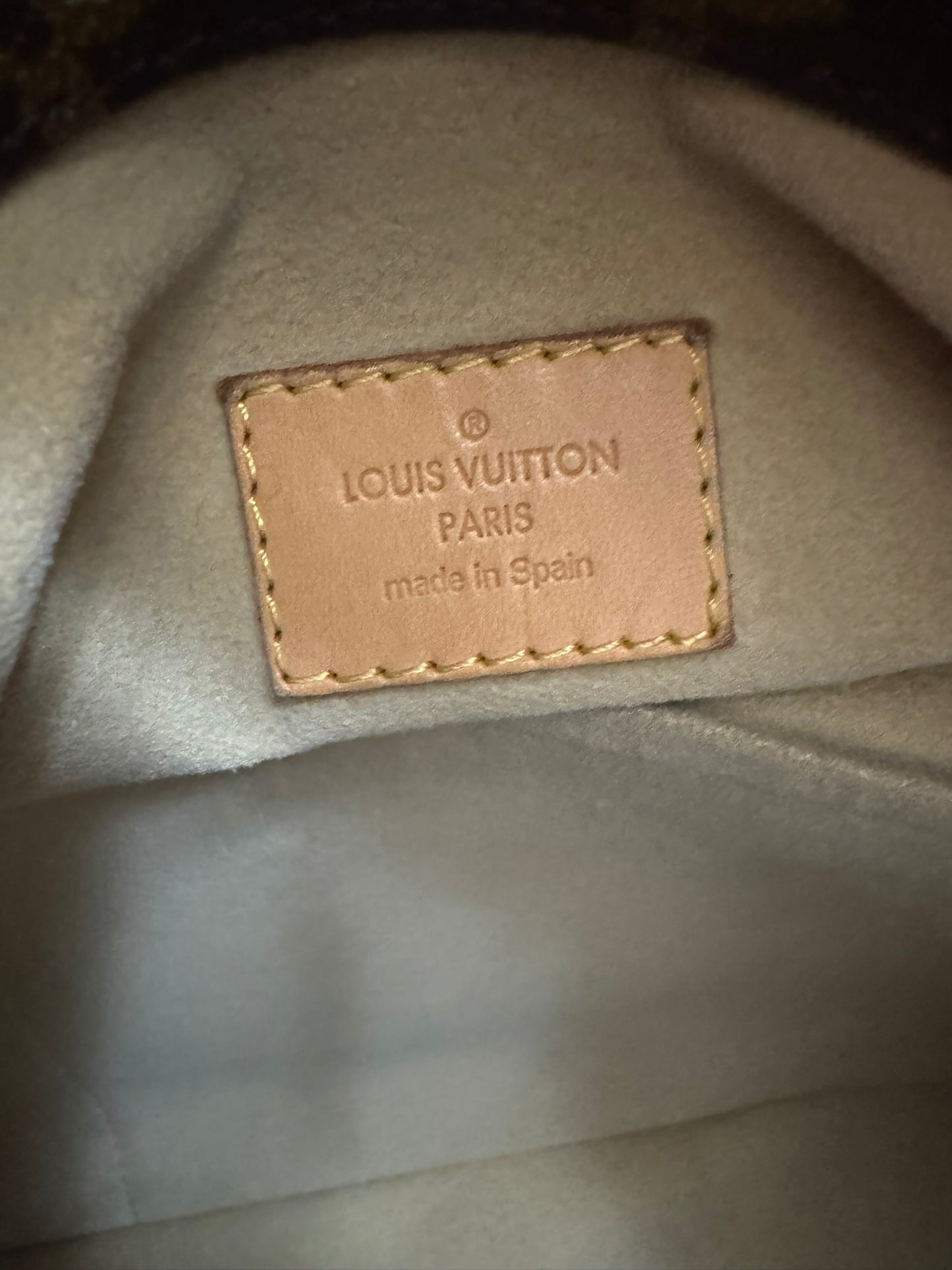 Louis Vuitton Artsy MM