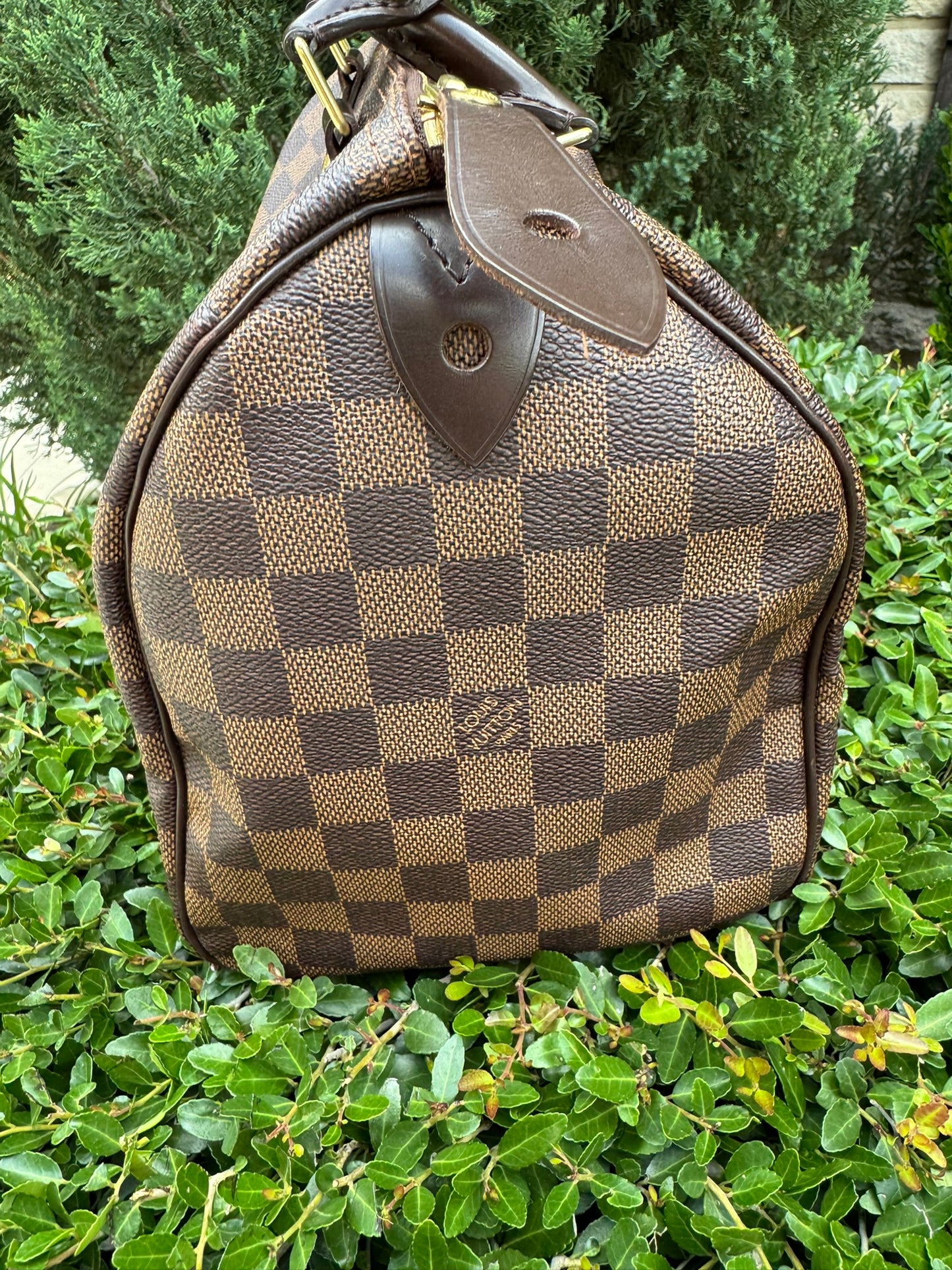 Louis Vuitton Speedy 30 in Damier Ebene Canvas