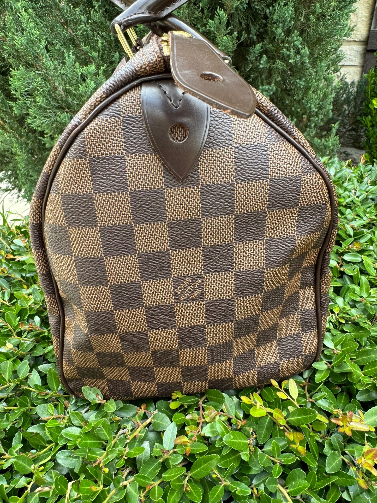 Louis Vuitton Speedy 30 in Damier Ebene Canvas