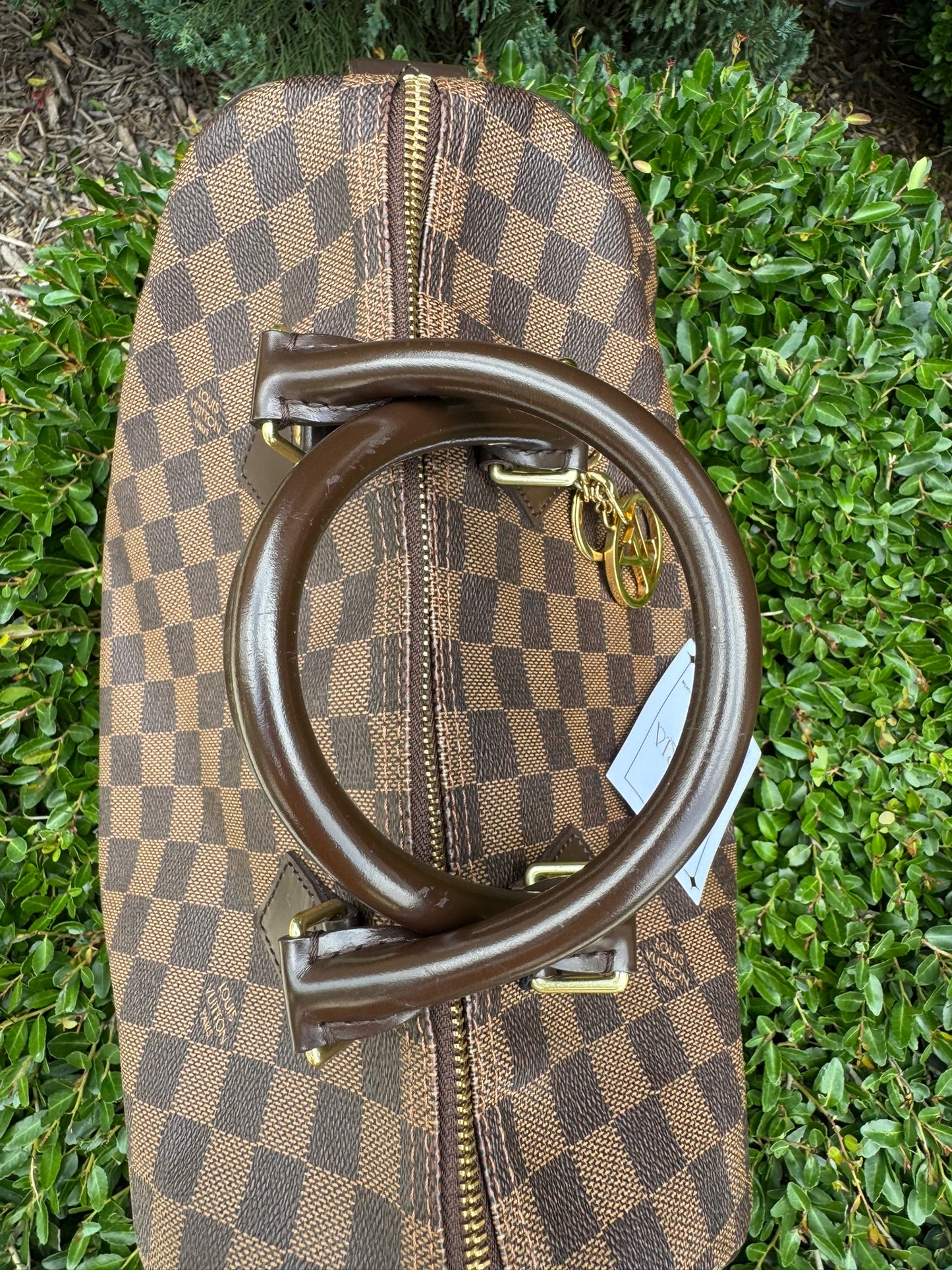 Louis Vuitton Speedy 30 in Damier Ebene Canvas