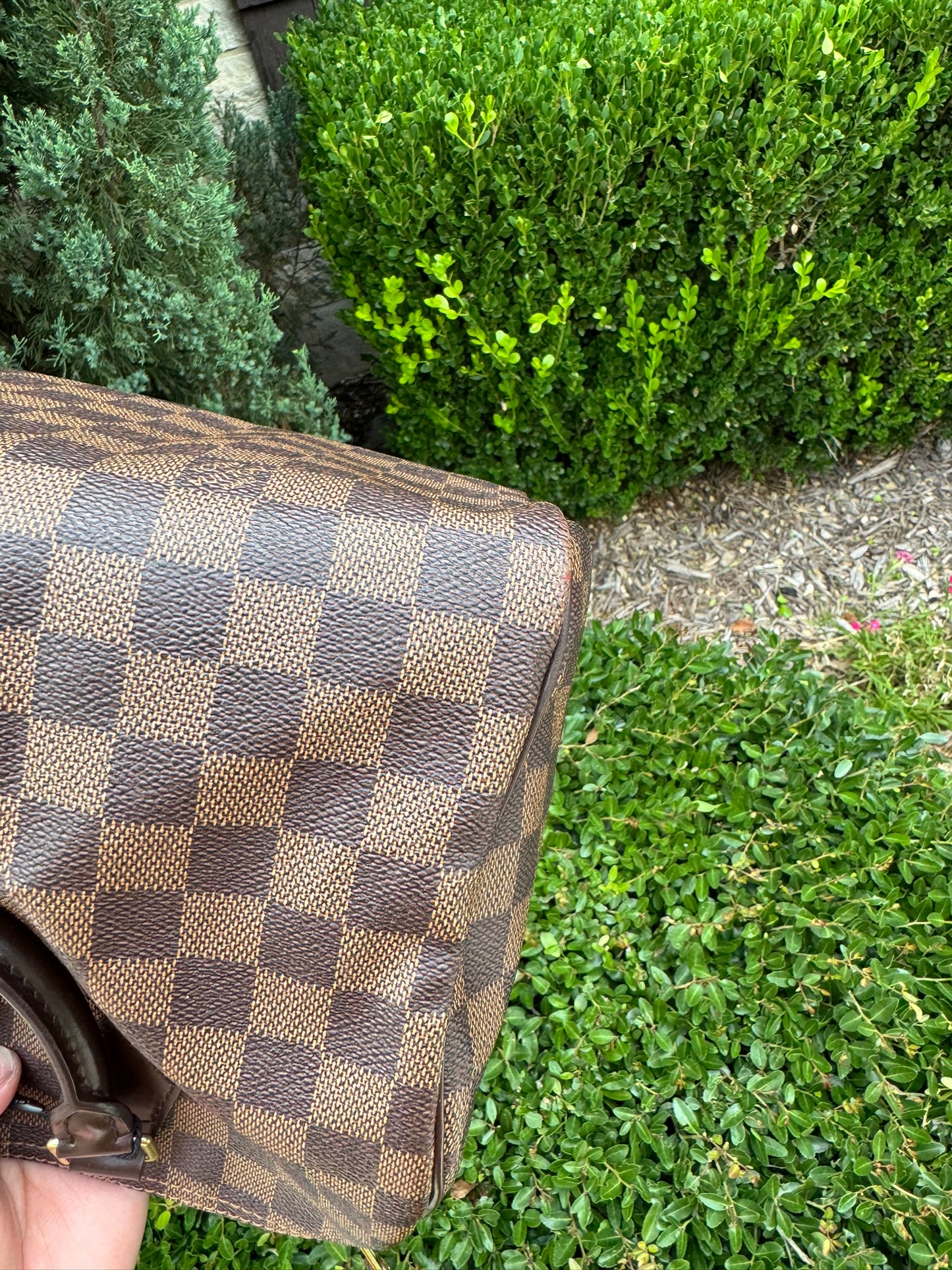 Louis Vuitton Speedy 30 in Damier Ebene Canvas