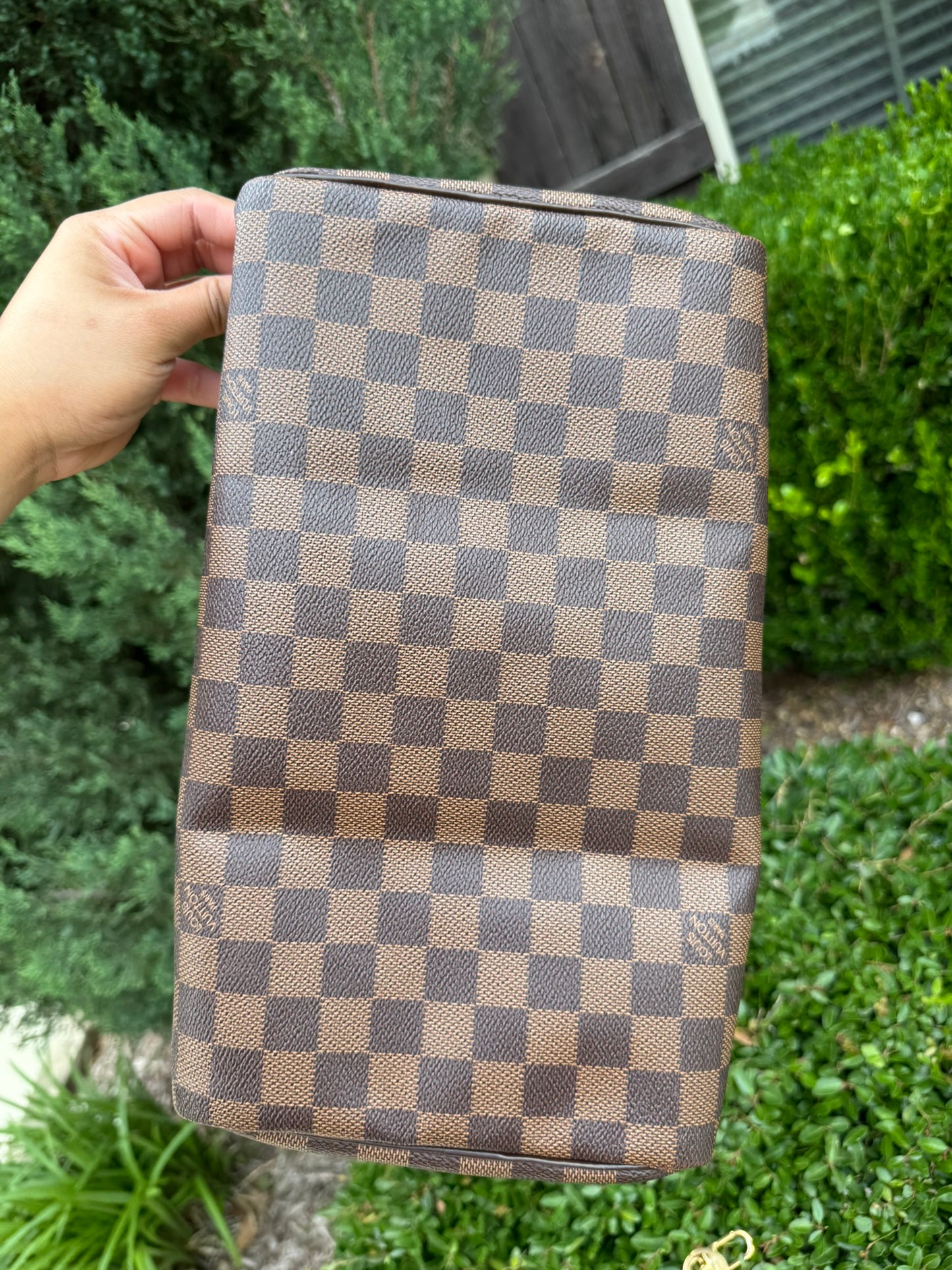 Louis Vuitton Speedy 30 in Damier Ebene Canvas
