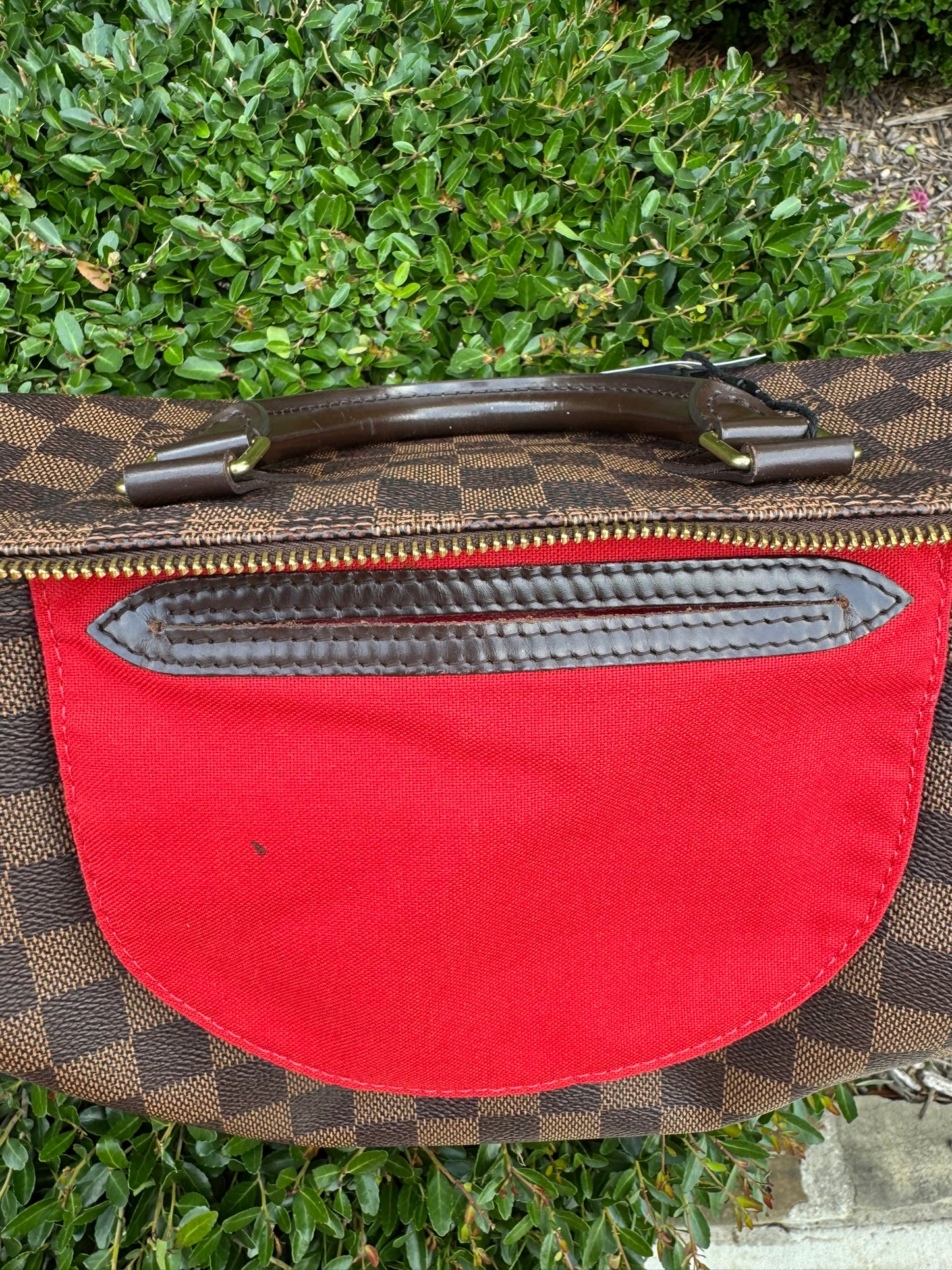 Louis Vuitton Speedy 30 in Damier Ebene Canvas