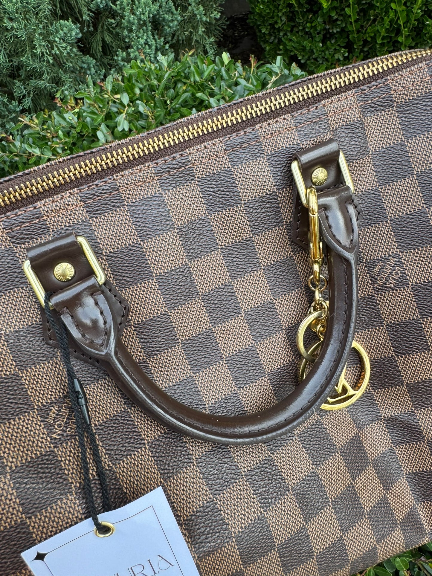 Louis Vuitton Speedy 30 in Damier Ebene Canvas