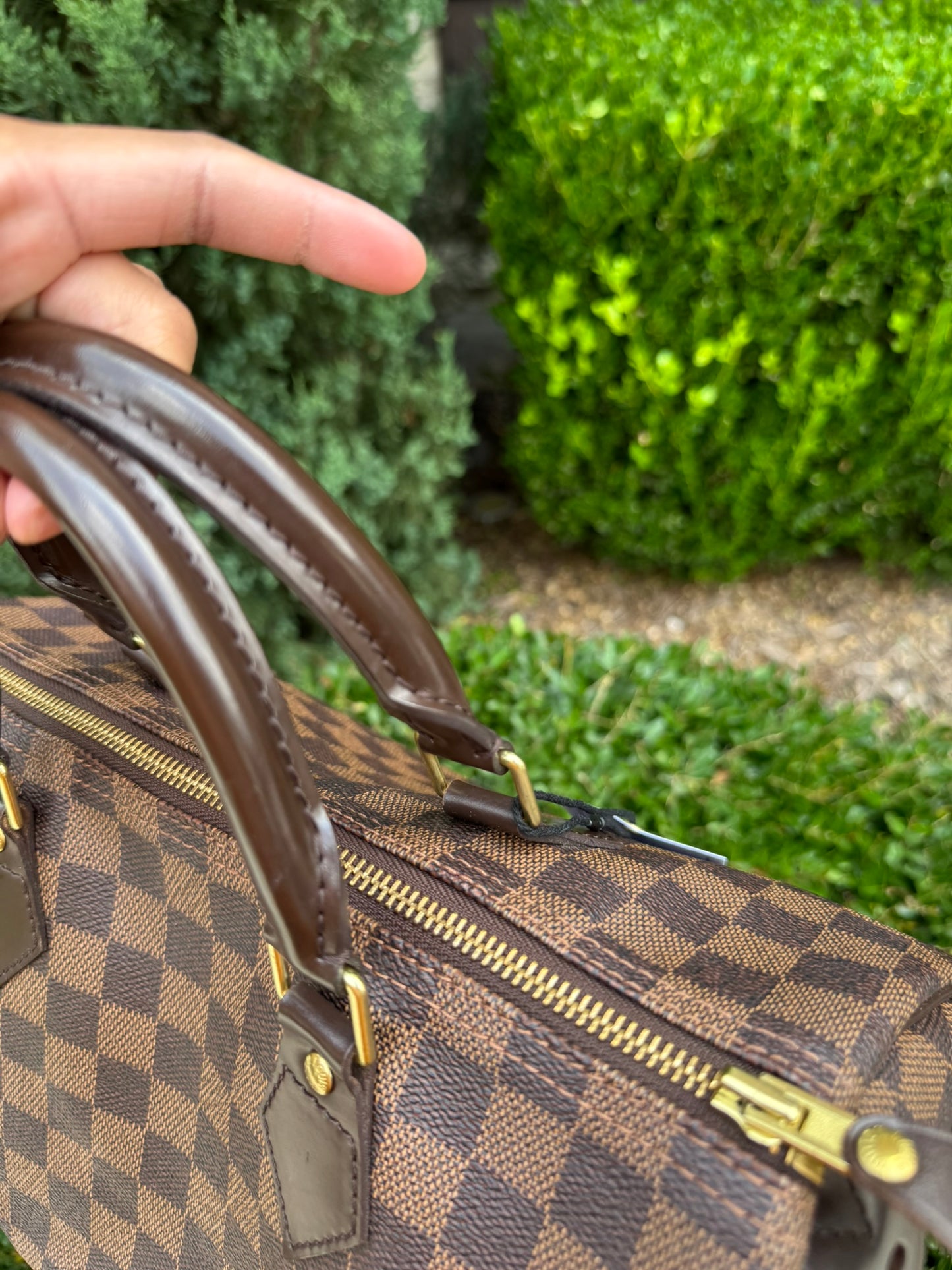 Louis Vuitton Speedy 30 in Damier Ebene Canvas