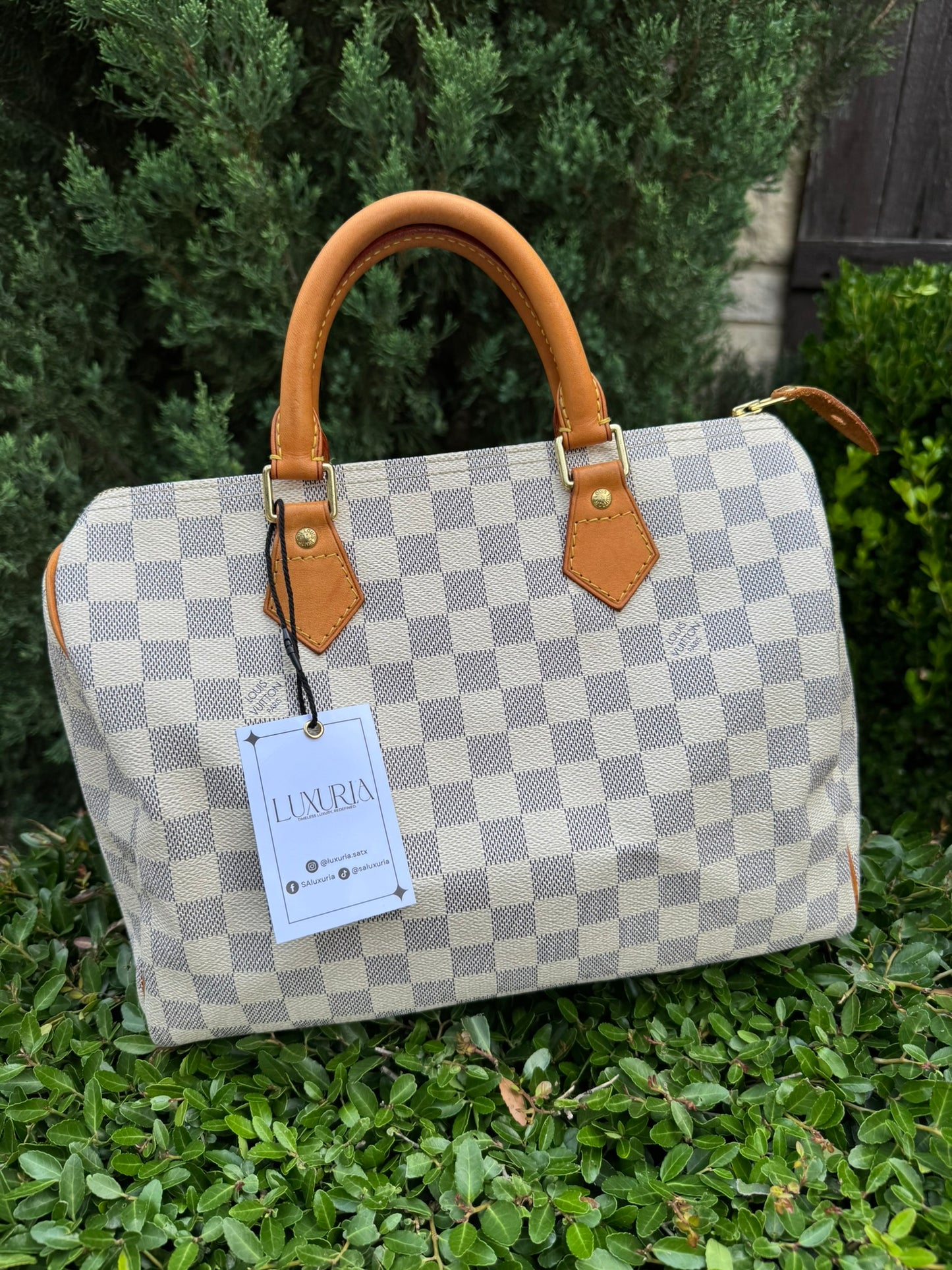 Louis Vuitton Speedy 30 in Damier Azur