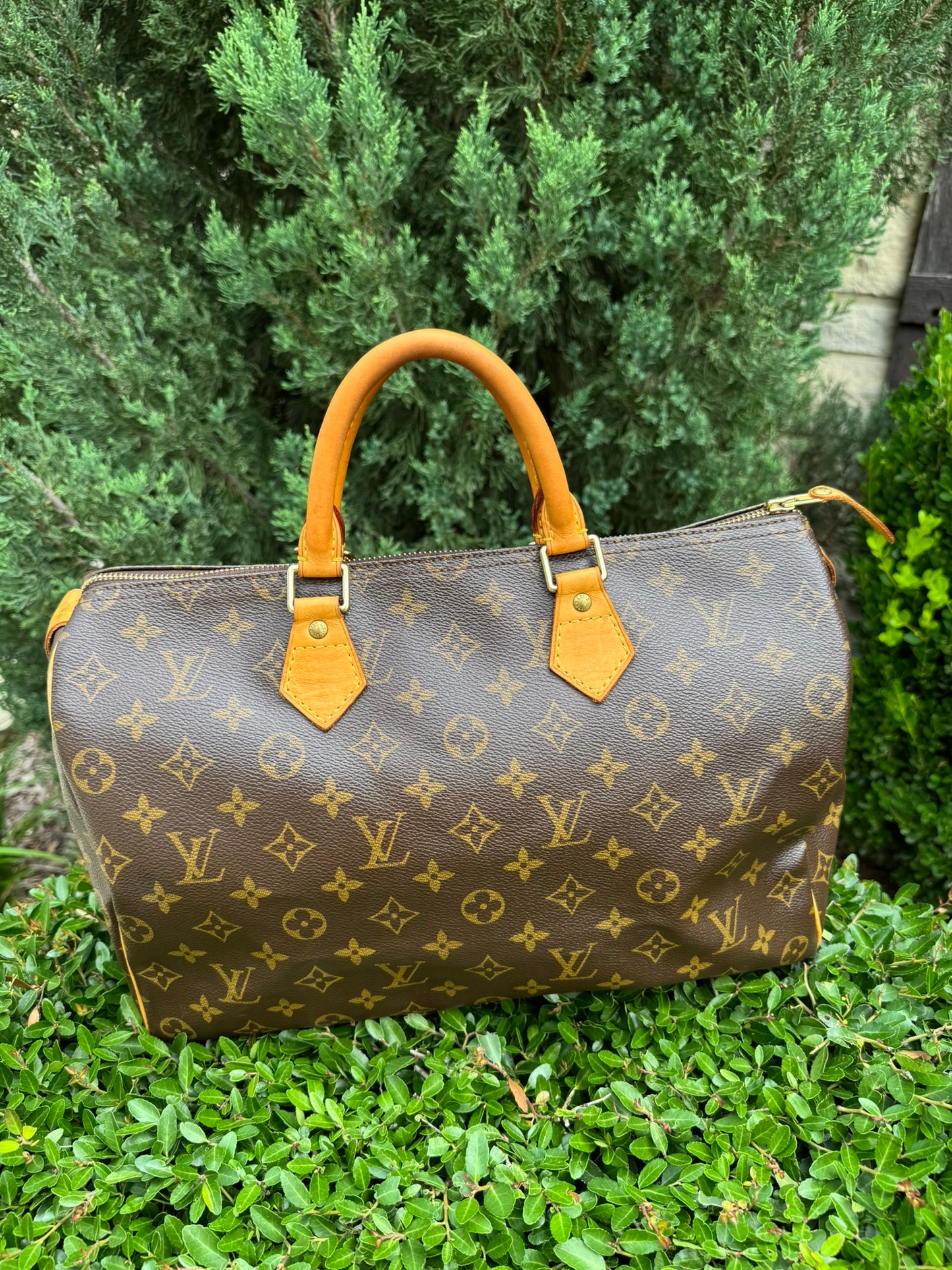Louis Vuitton Speedy 35