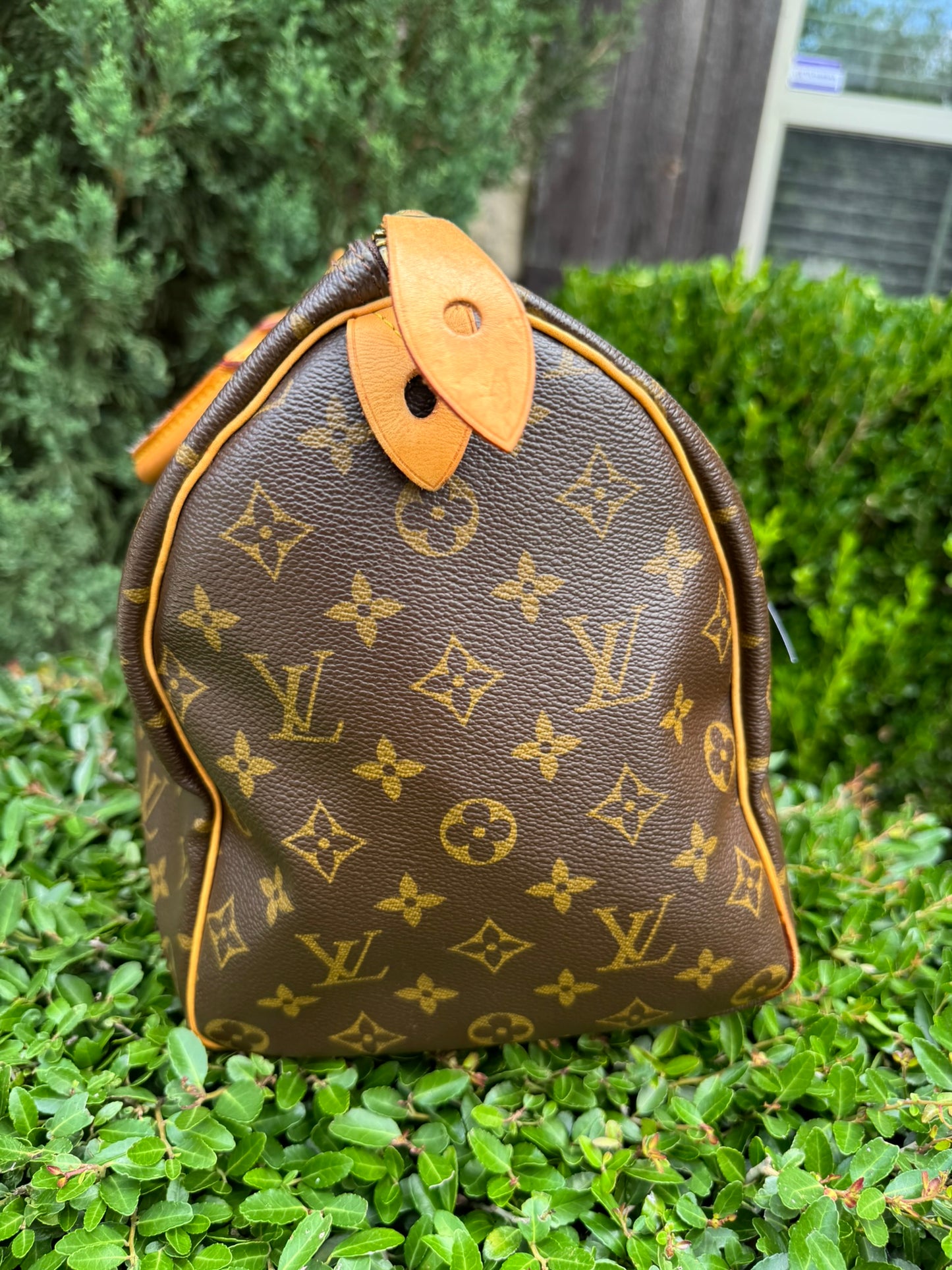 Louis Vuitton Speedy 35