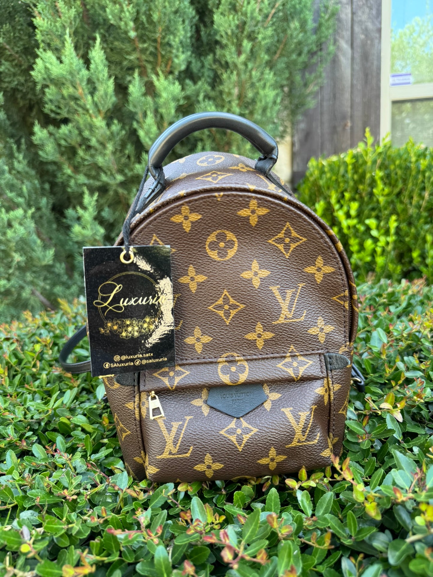 Louis Vuitton Palm Springs Mini Backpack