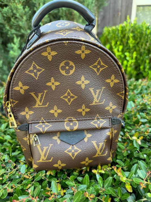 Louis Vuitton Palm Springs Mini Backpack