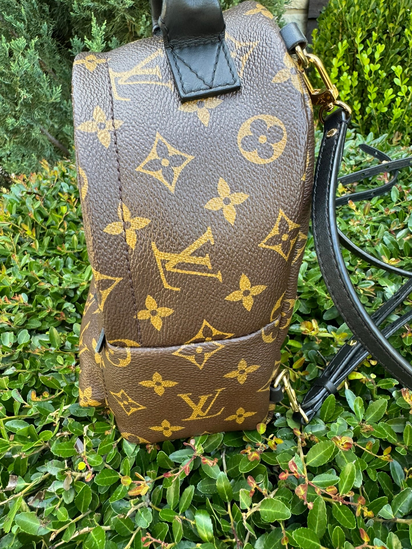 Louis Vuitton Palm Springs Mini Backpack