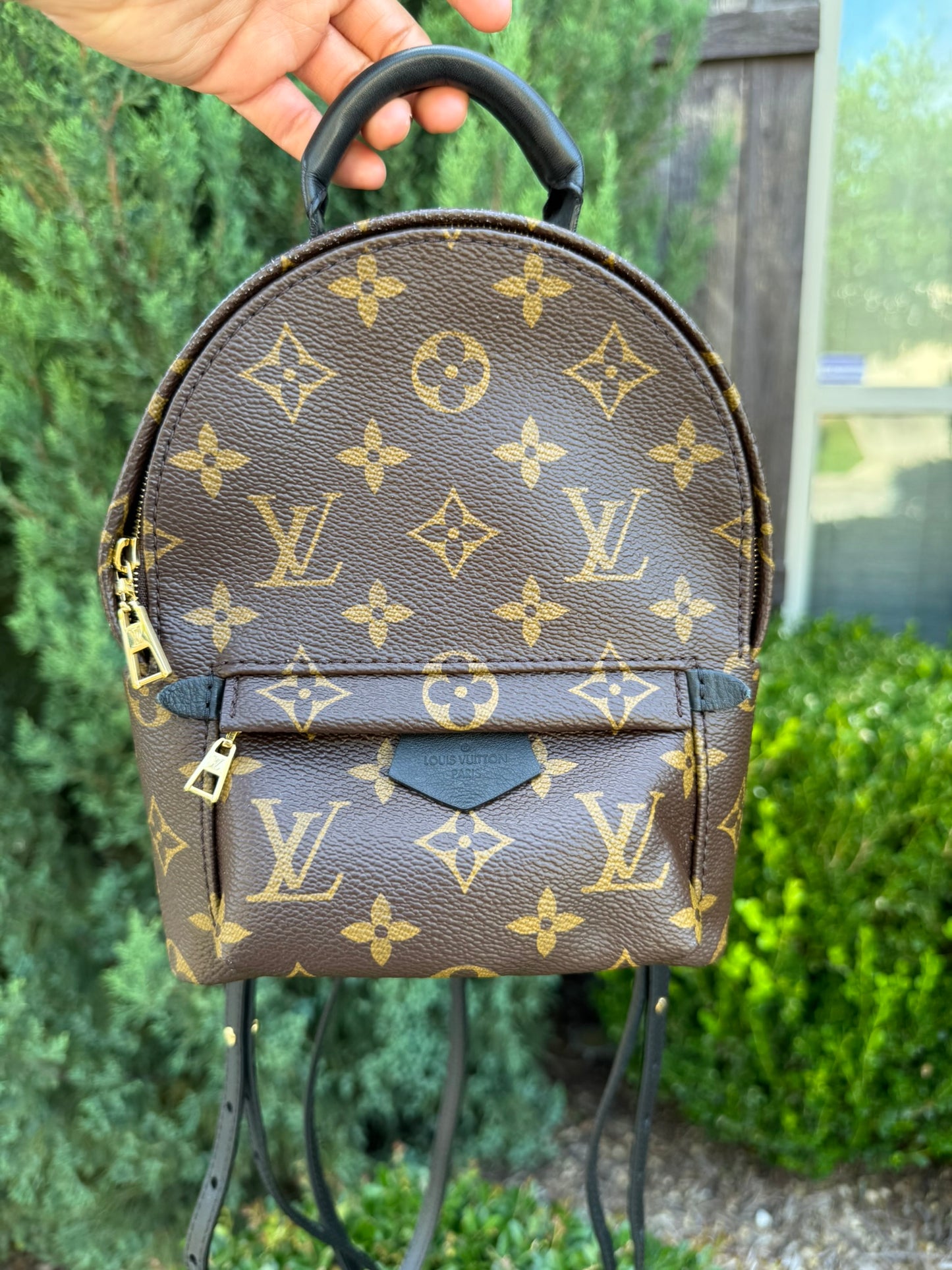 Louis Vuitton Palm Springs Mini Backpack