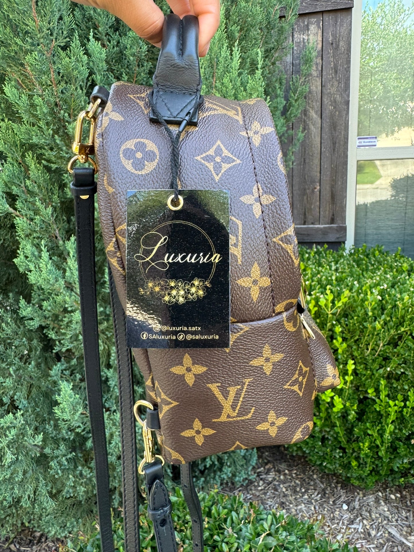 Louis Vuitton Palm Springs Mini Backpack