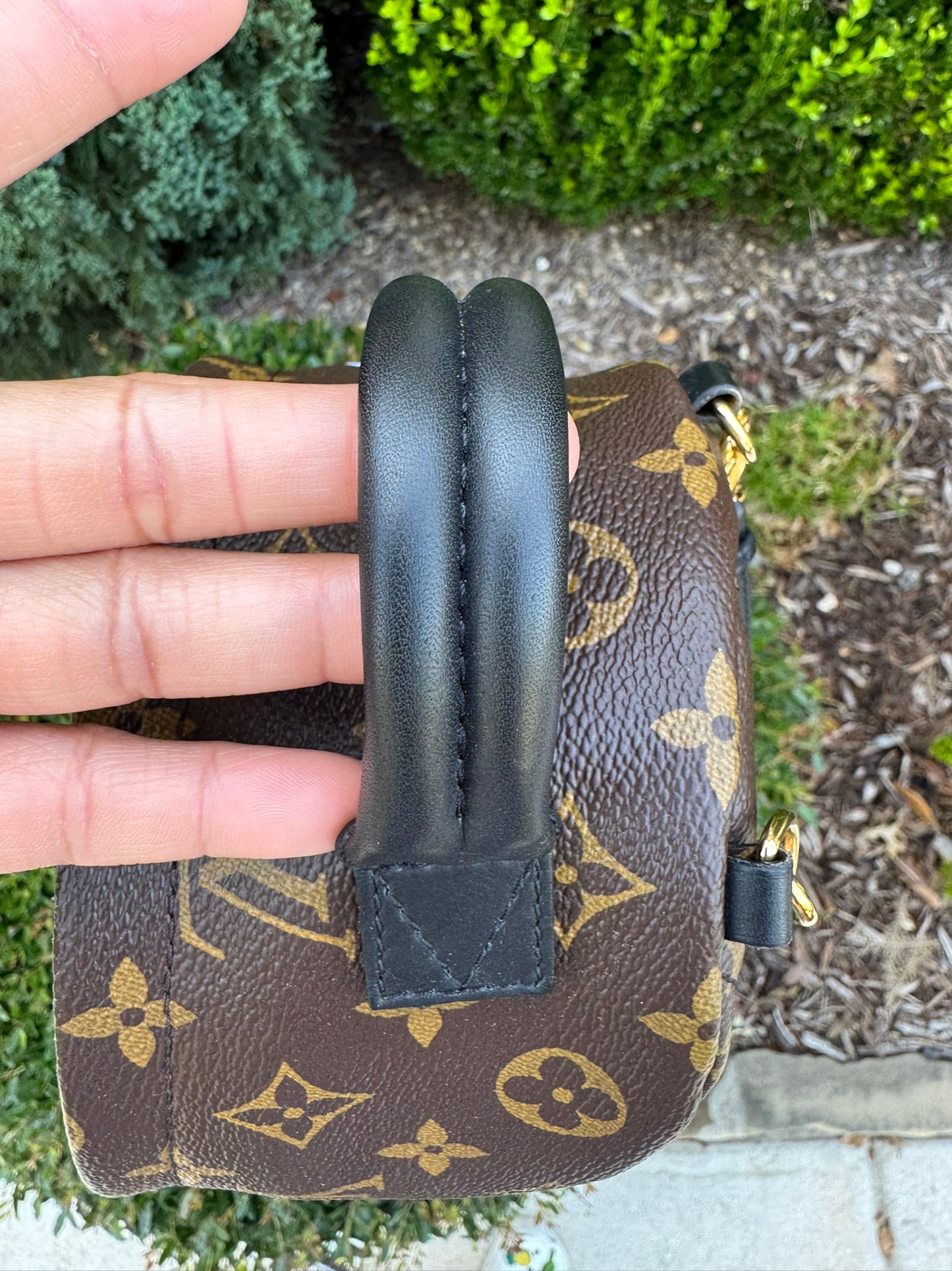 Louis Vuitton Palm Springs Mini Backpack