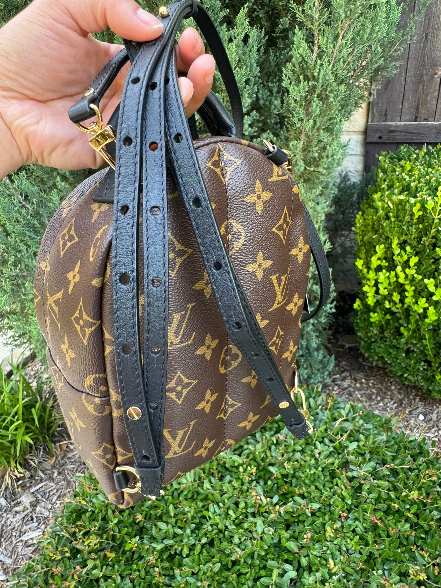 Louis Vuitton Palm Springs Mini Backpack