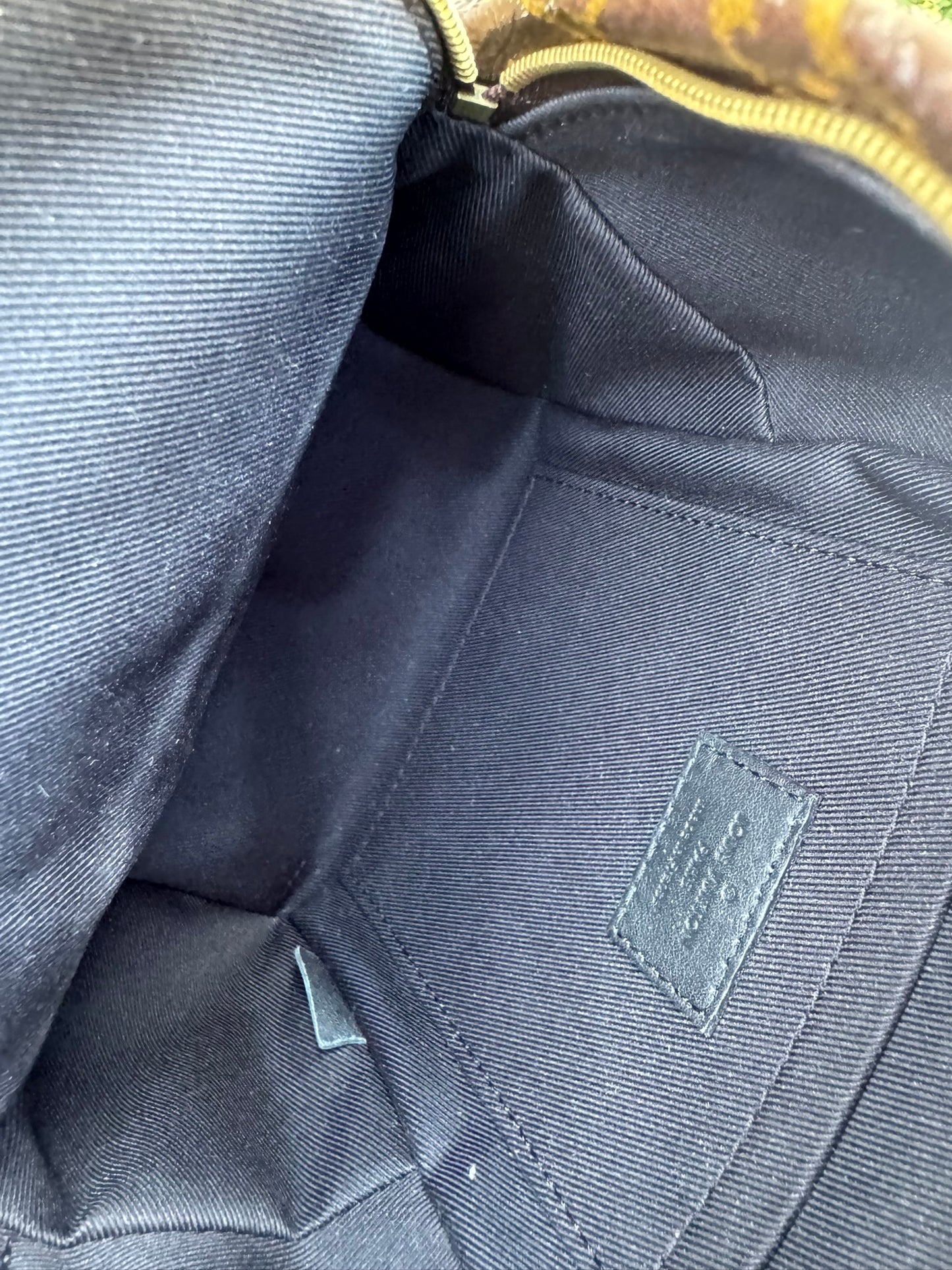 Louis Vuitton Palm Springs Mini Backpack