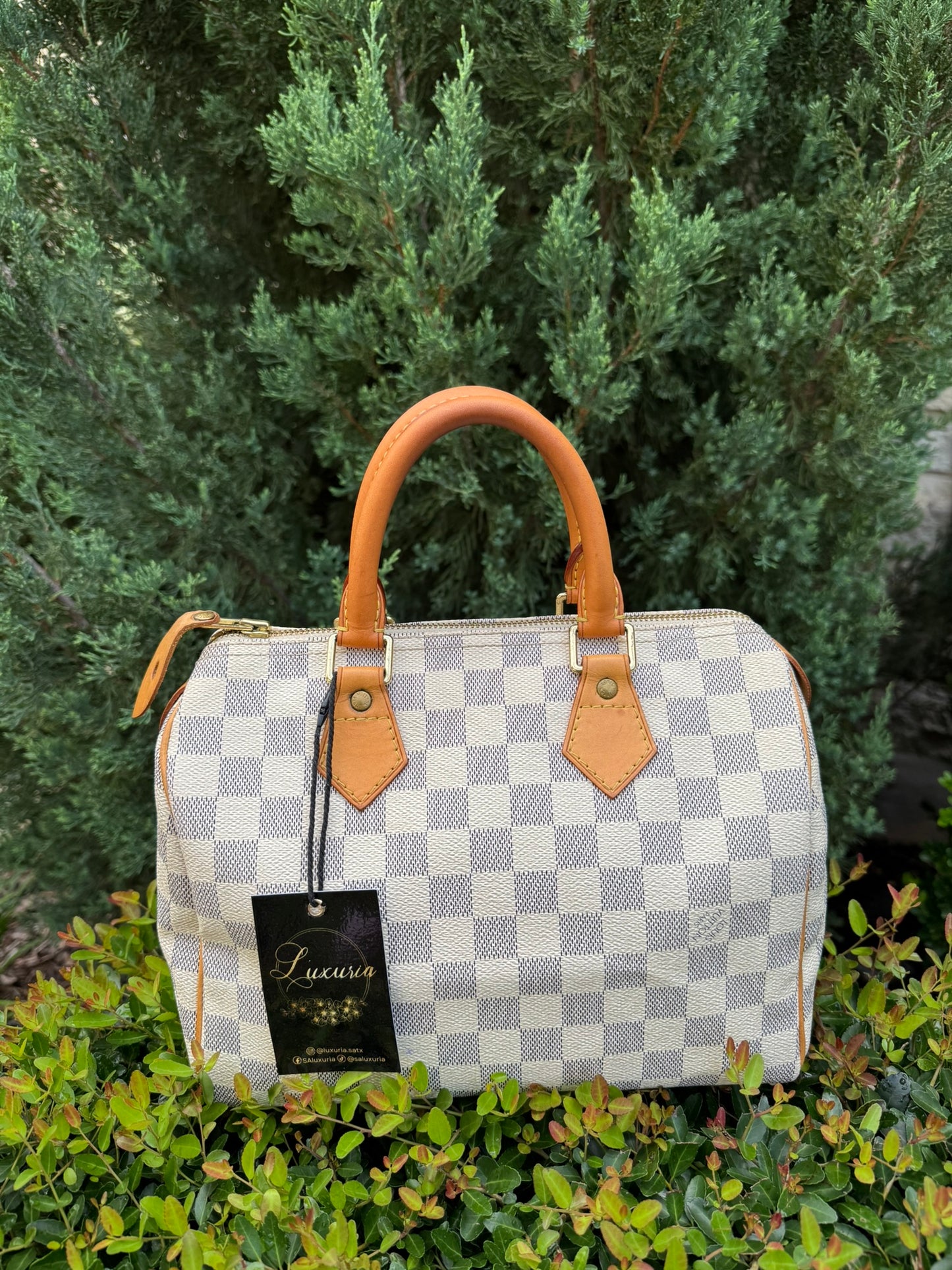 Louis Vuitton Speedy 25 Azur