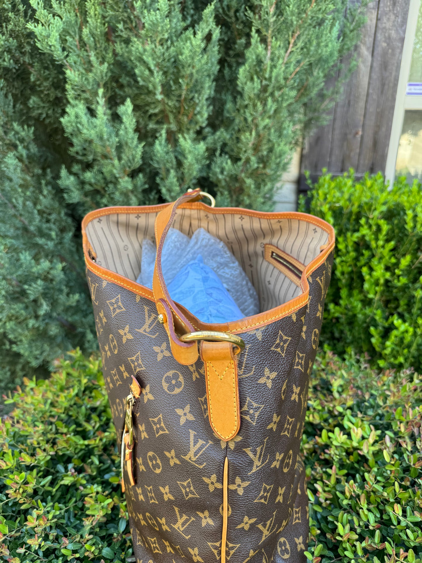 Louis Vuitton Delightful GM