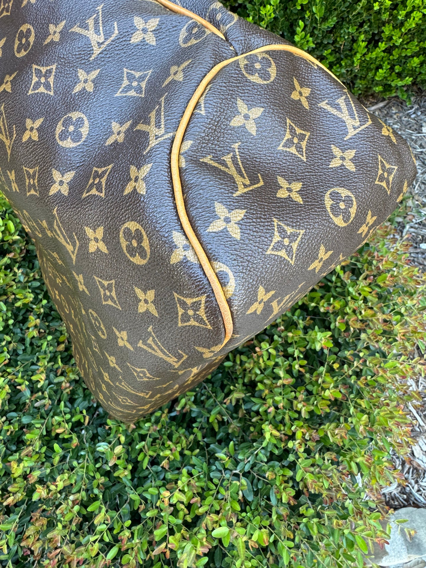 Louis Vuitton Delightful GM