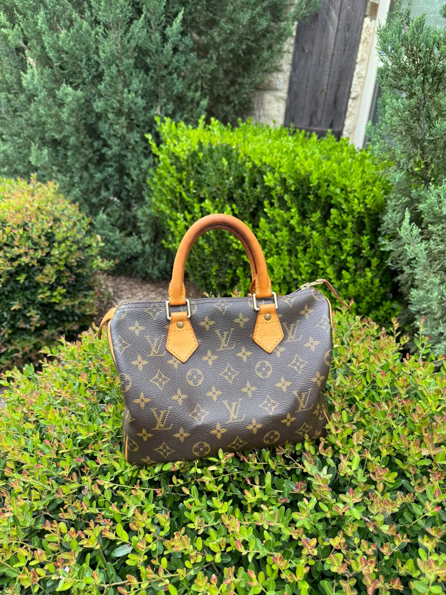 Louis Vuitton Speedy 25 in Monogram Canvas