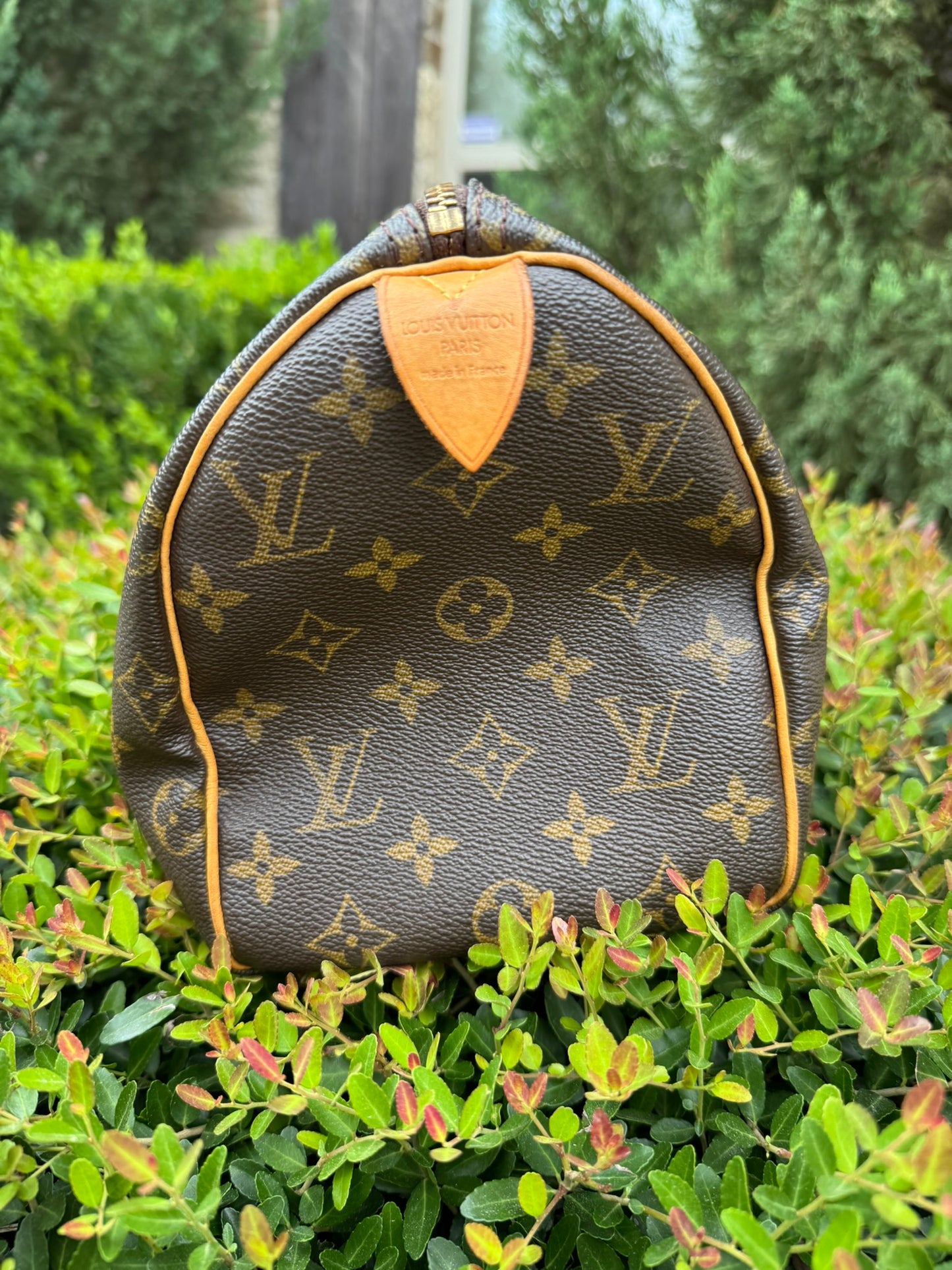 Louis Vuitton Speedy 25 in Monogram Canvas