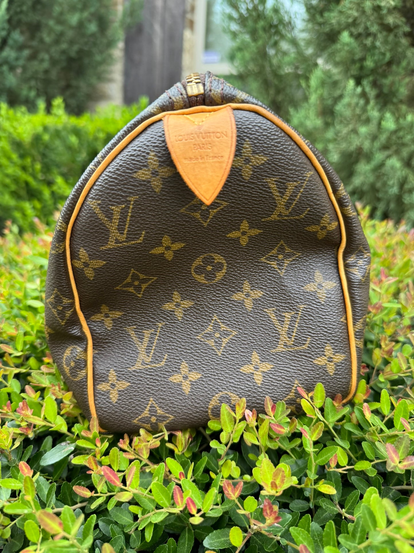 Louis Vuitton Speedy 25 in Monogram Canvas