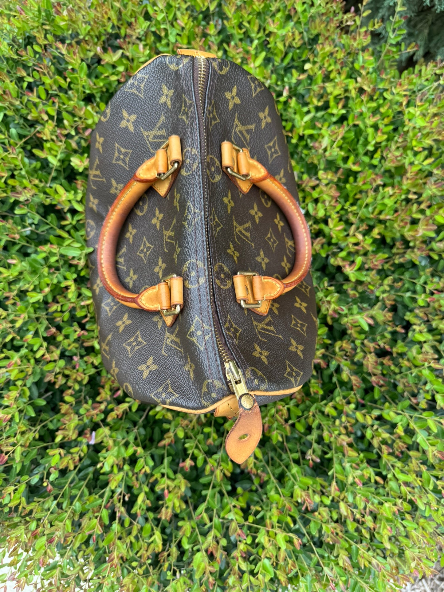 Louis Vuitton Speedy 25 in Monogram Canvas