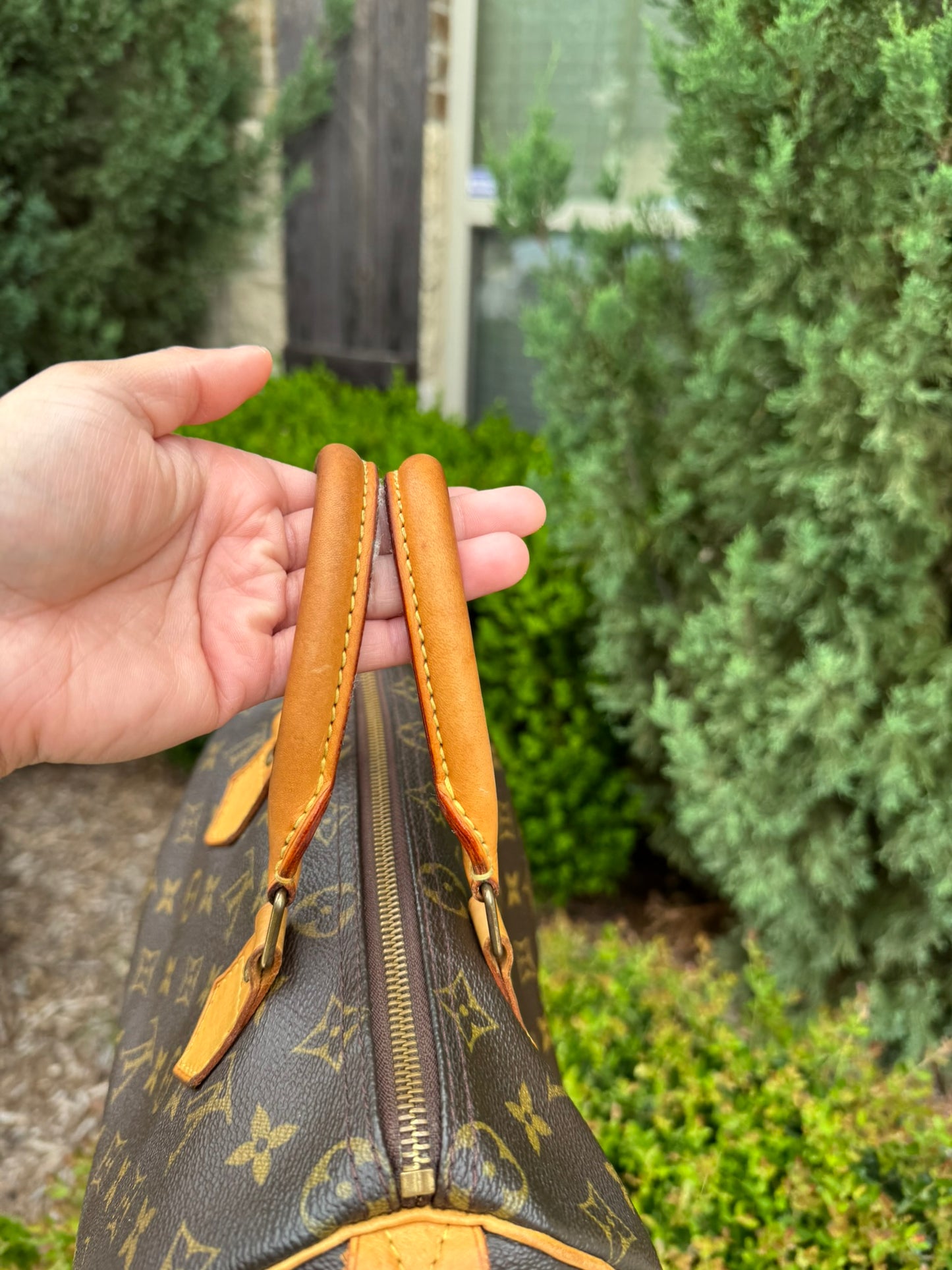 Louis Vuitton Speedy 25 in Monogram Canvas