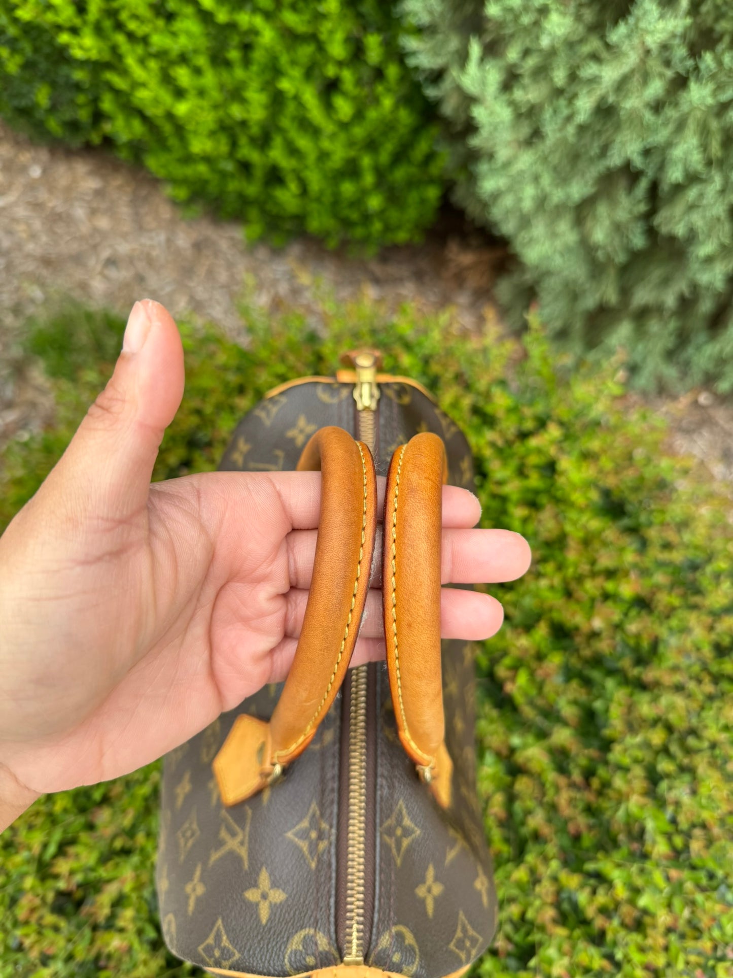 Louis Vuitton Speedy 25 in Monogram Canvas