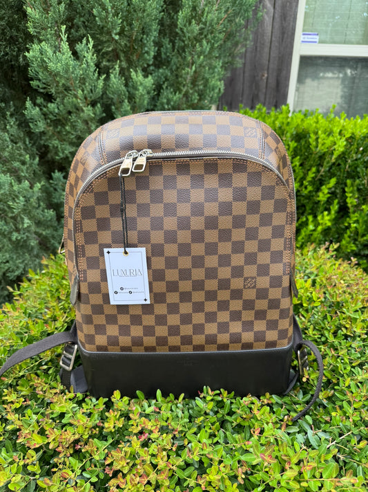Louis Vuitton Jake Backpack in Damier Ebene Canvas