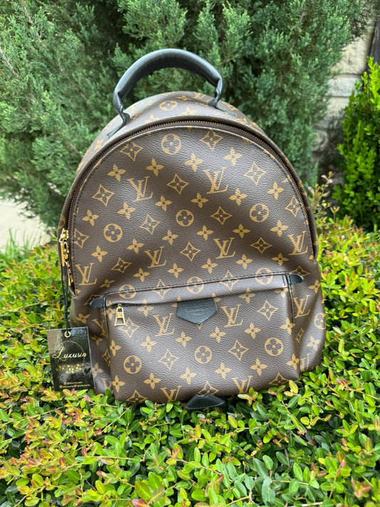 Louis Vuitton Palm Springs MM