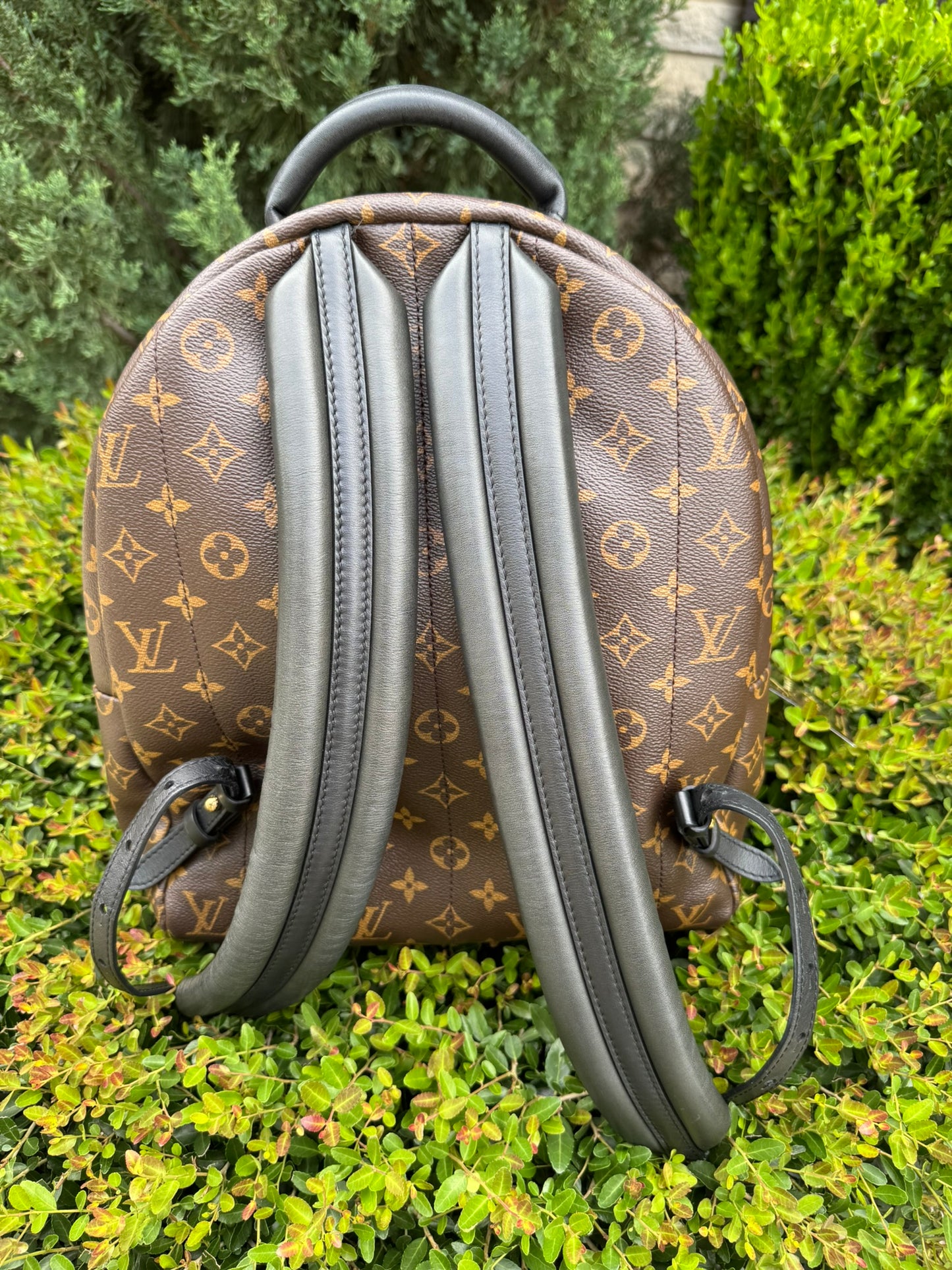 Louis Vuitton Palm Springs MM