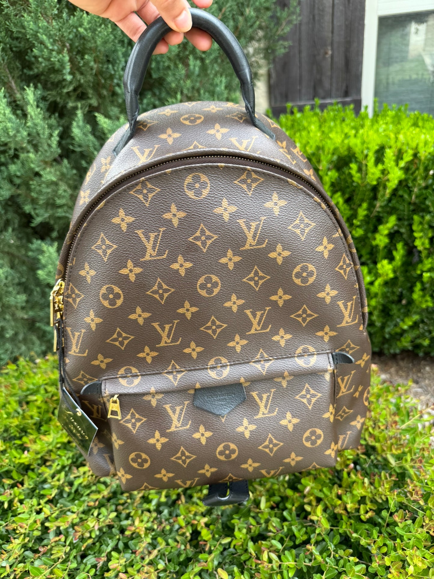 Louis Vuitton Palm Springs MM