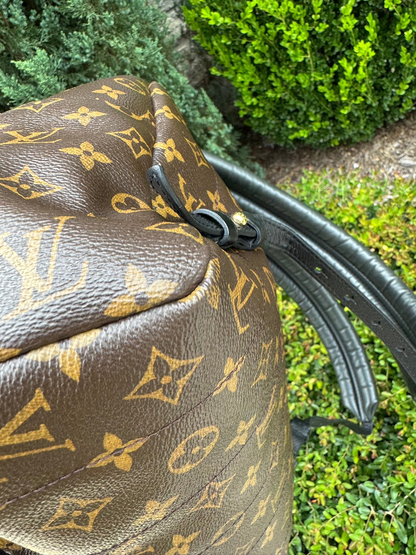 Louis Vuitton Palm Springs MM