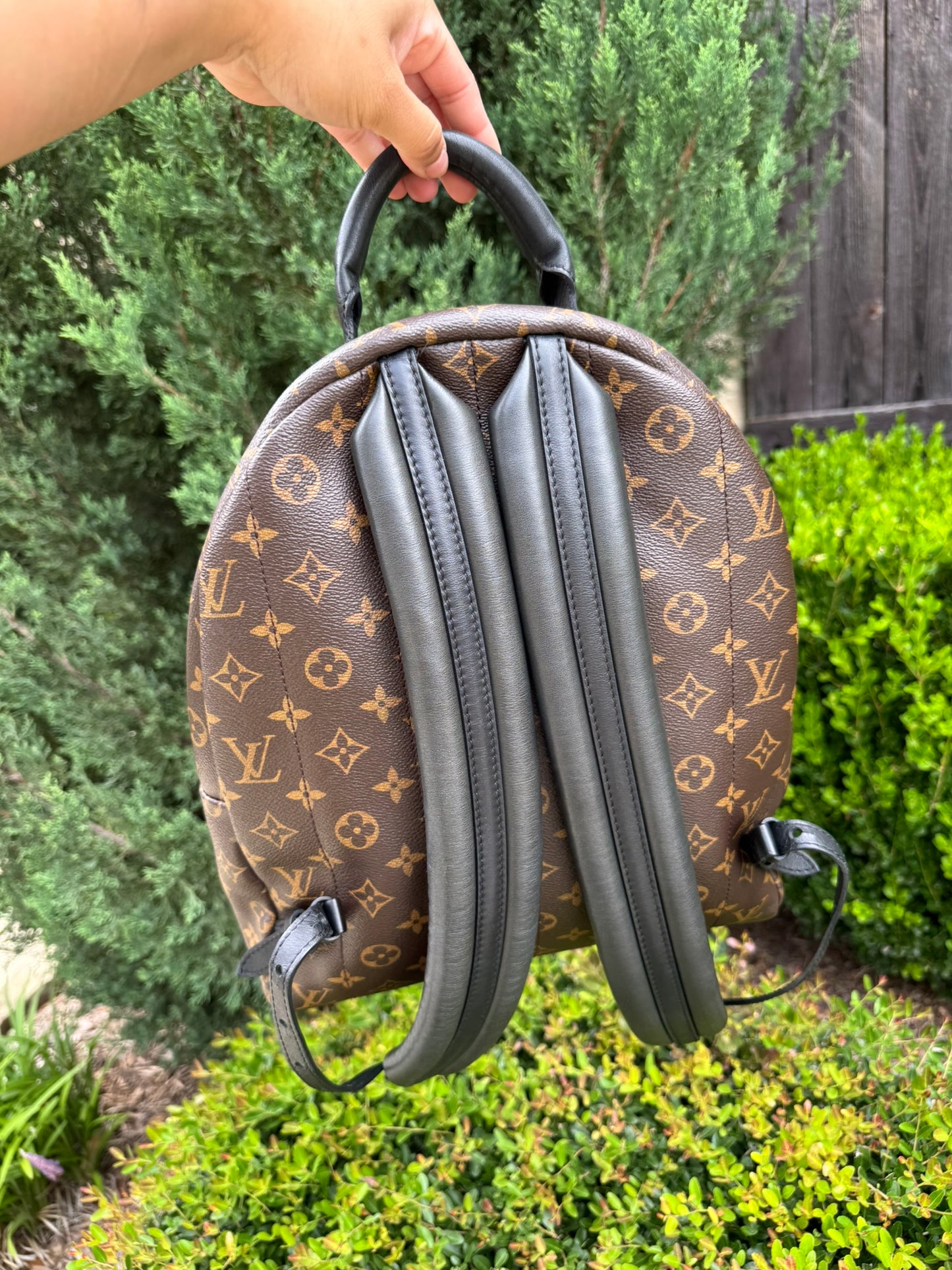 Louis Vuitton Palm Springs MM