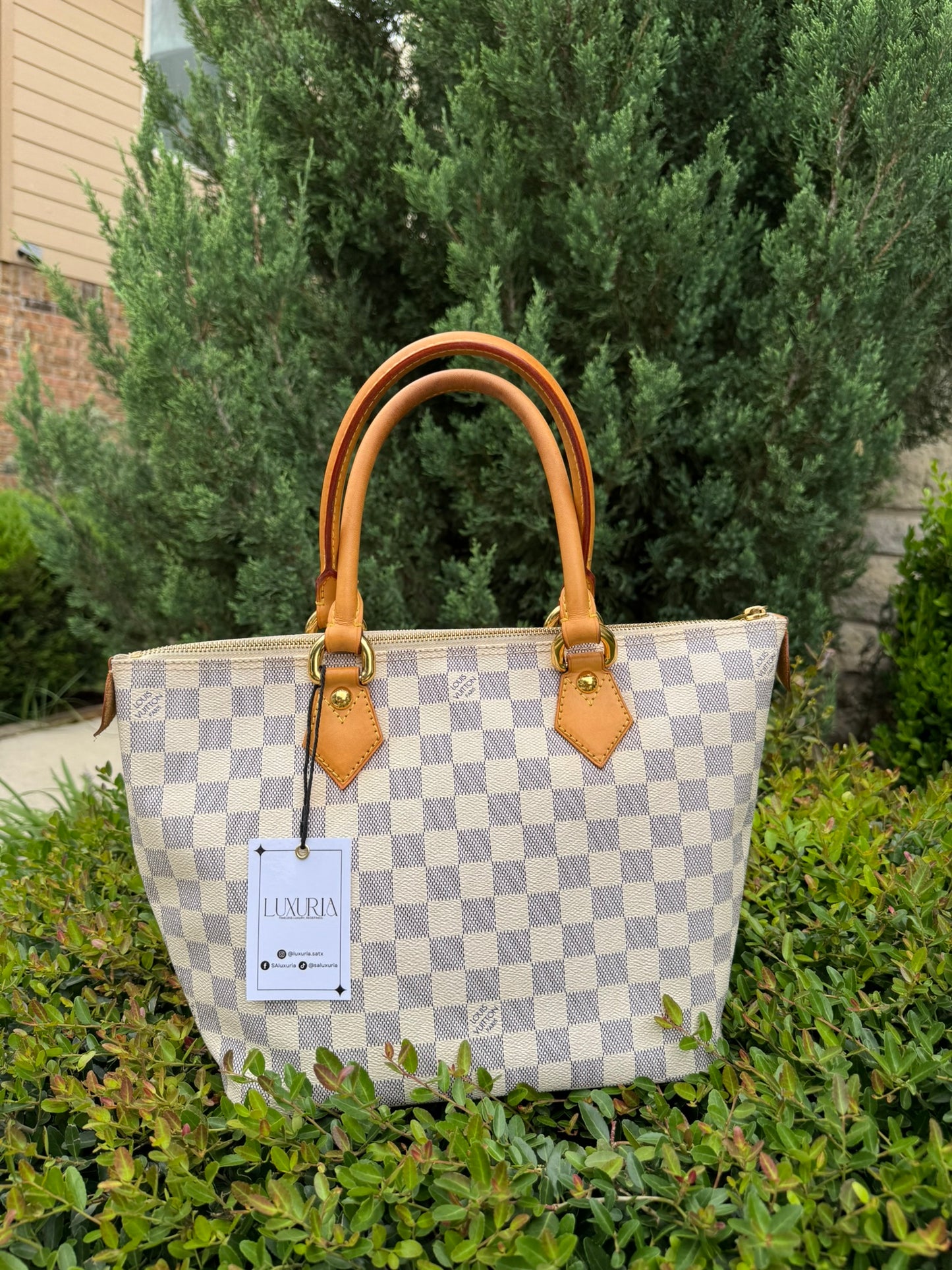 Louis Vuitton Saleya MM in Damier Azur Canvas