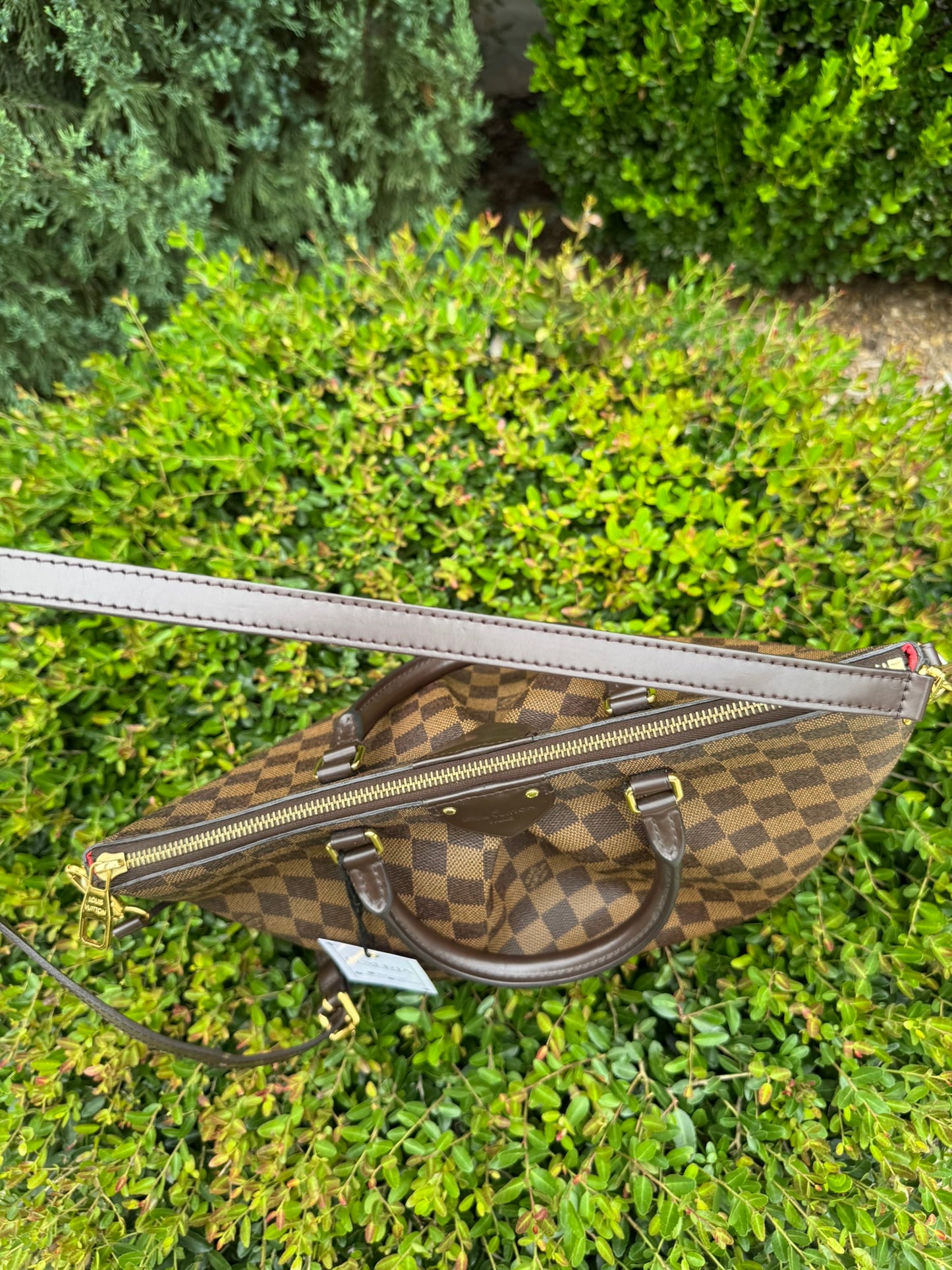 Louis Vuitton Siena MM in Damier Ebene Canvas