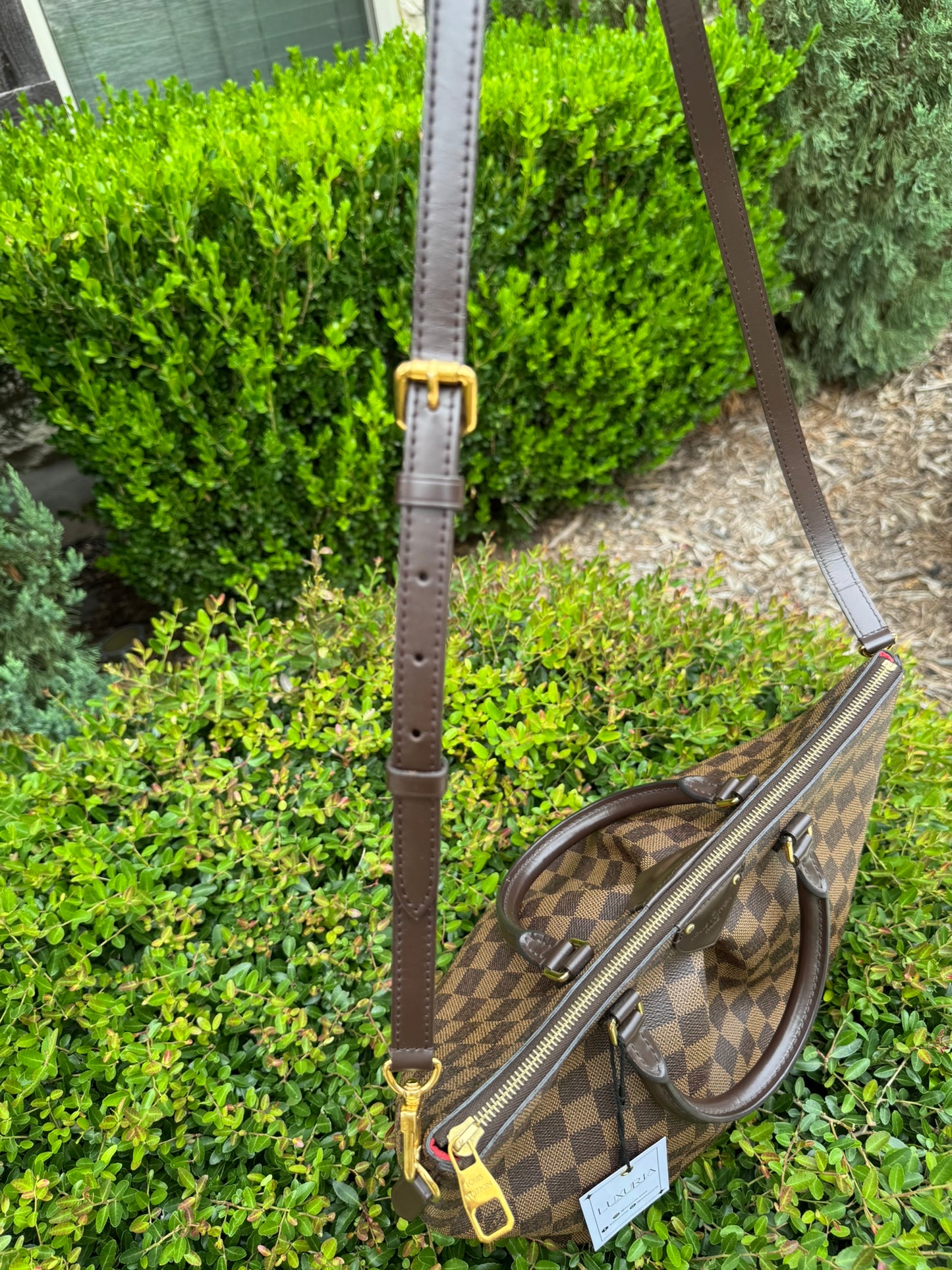 Louis Vuitton Siena MM in Damier Ebene Canvas