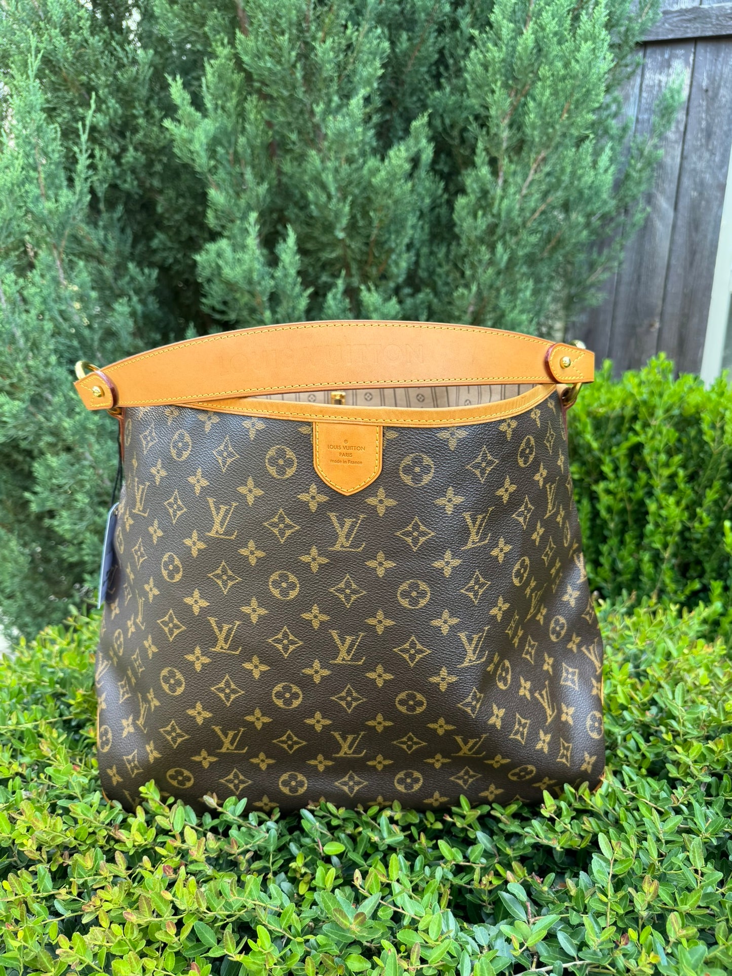Louis Vuitton Delightful MM