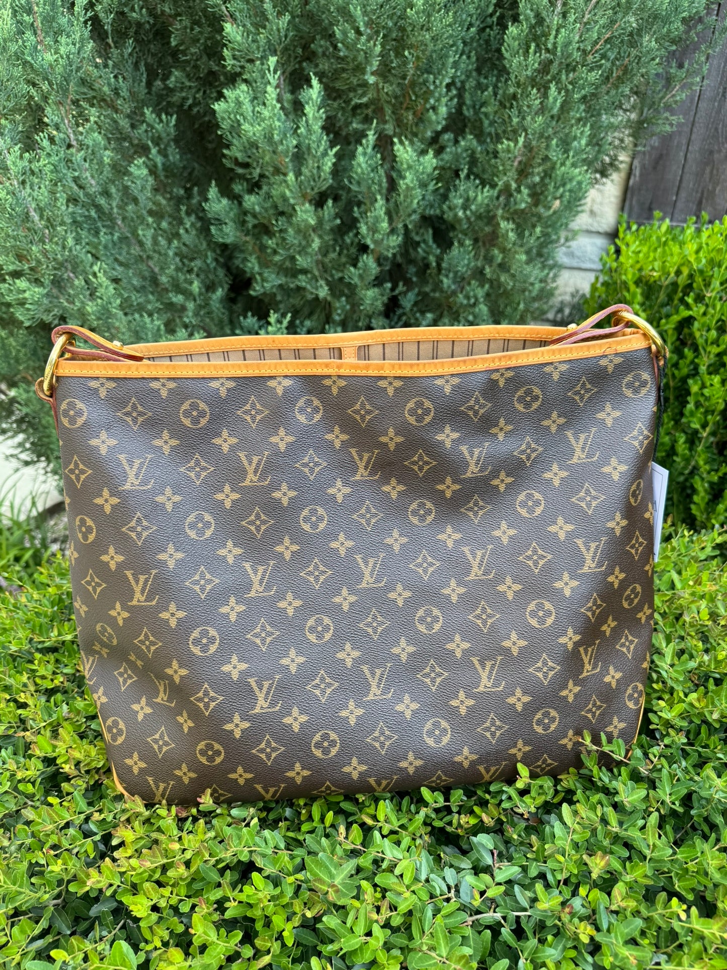 Louis Vuitton Delightful MM