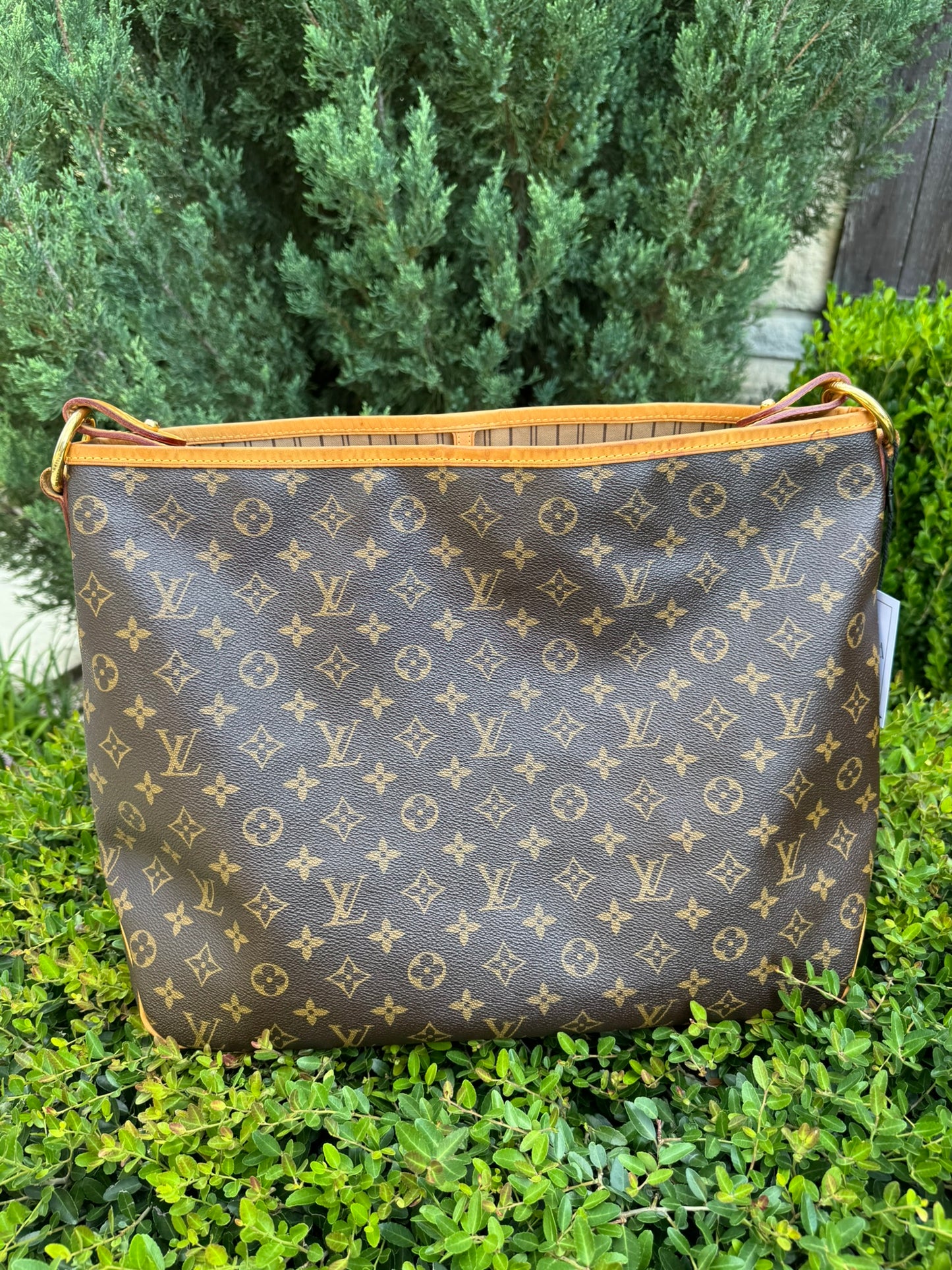 Louis Vuitton Delightful MM