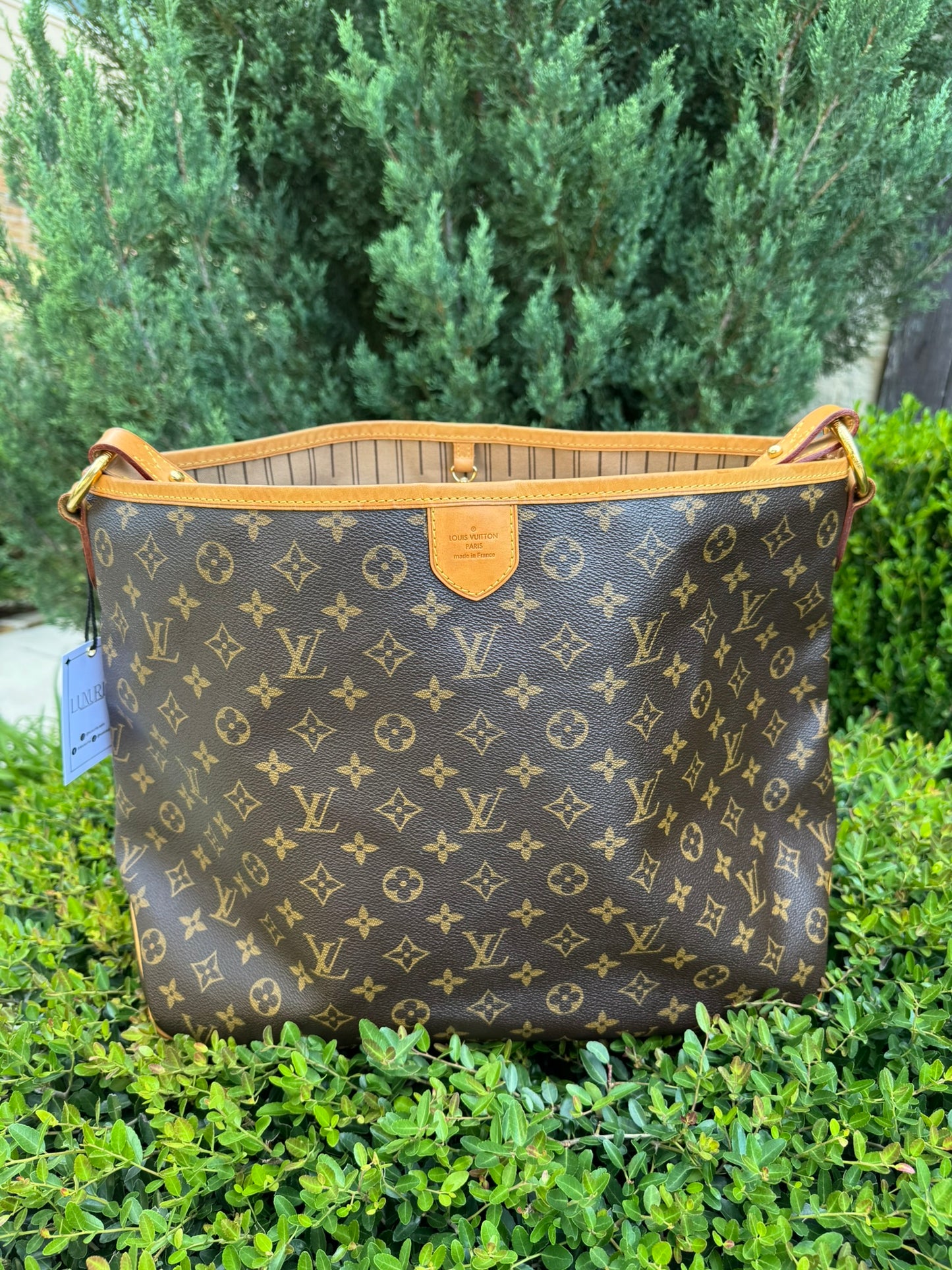 Louis Vuitton Delightful MM