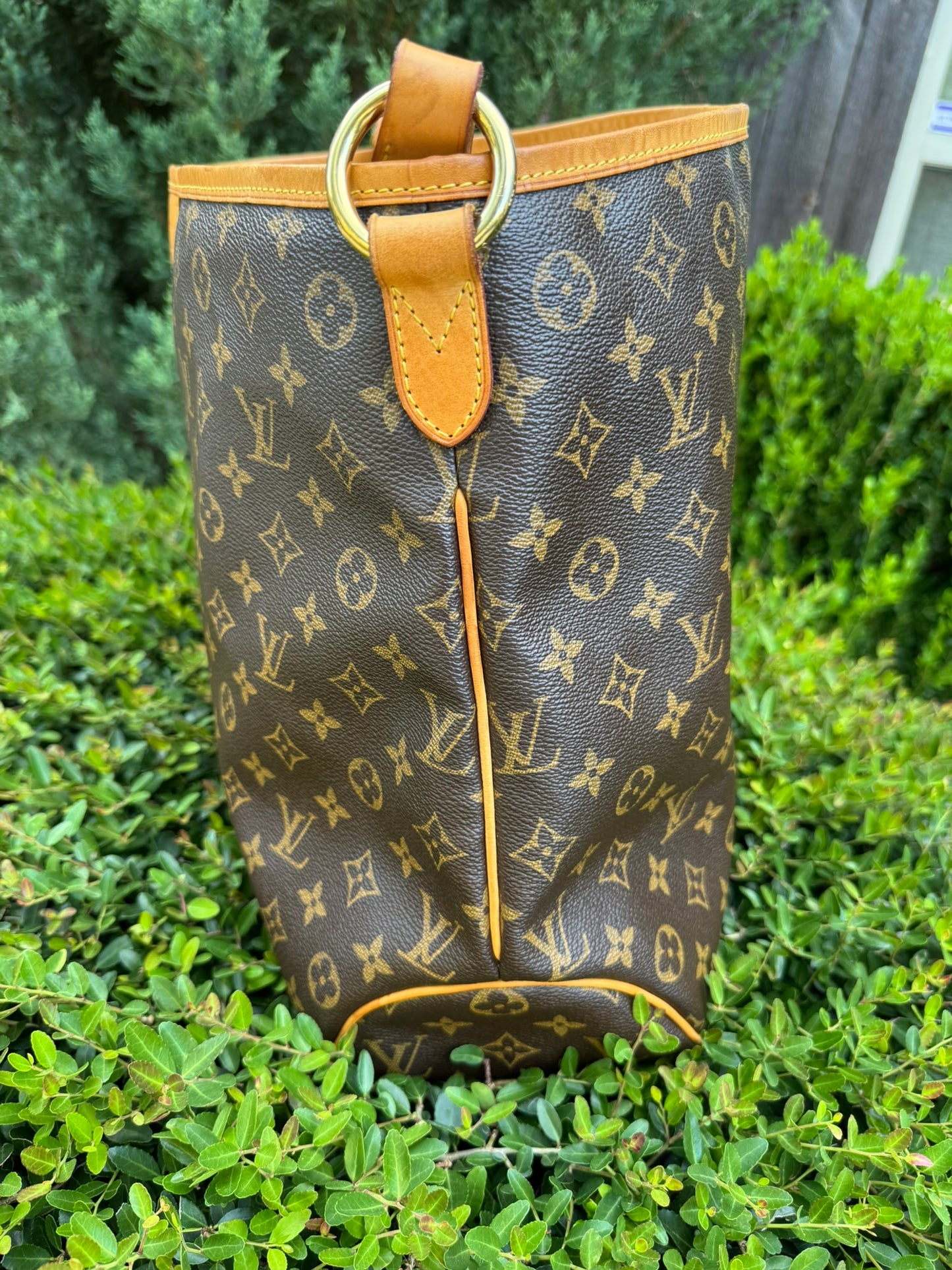 Louis Vuitton Delightful MM
