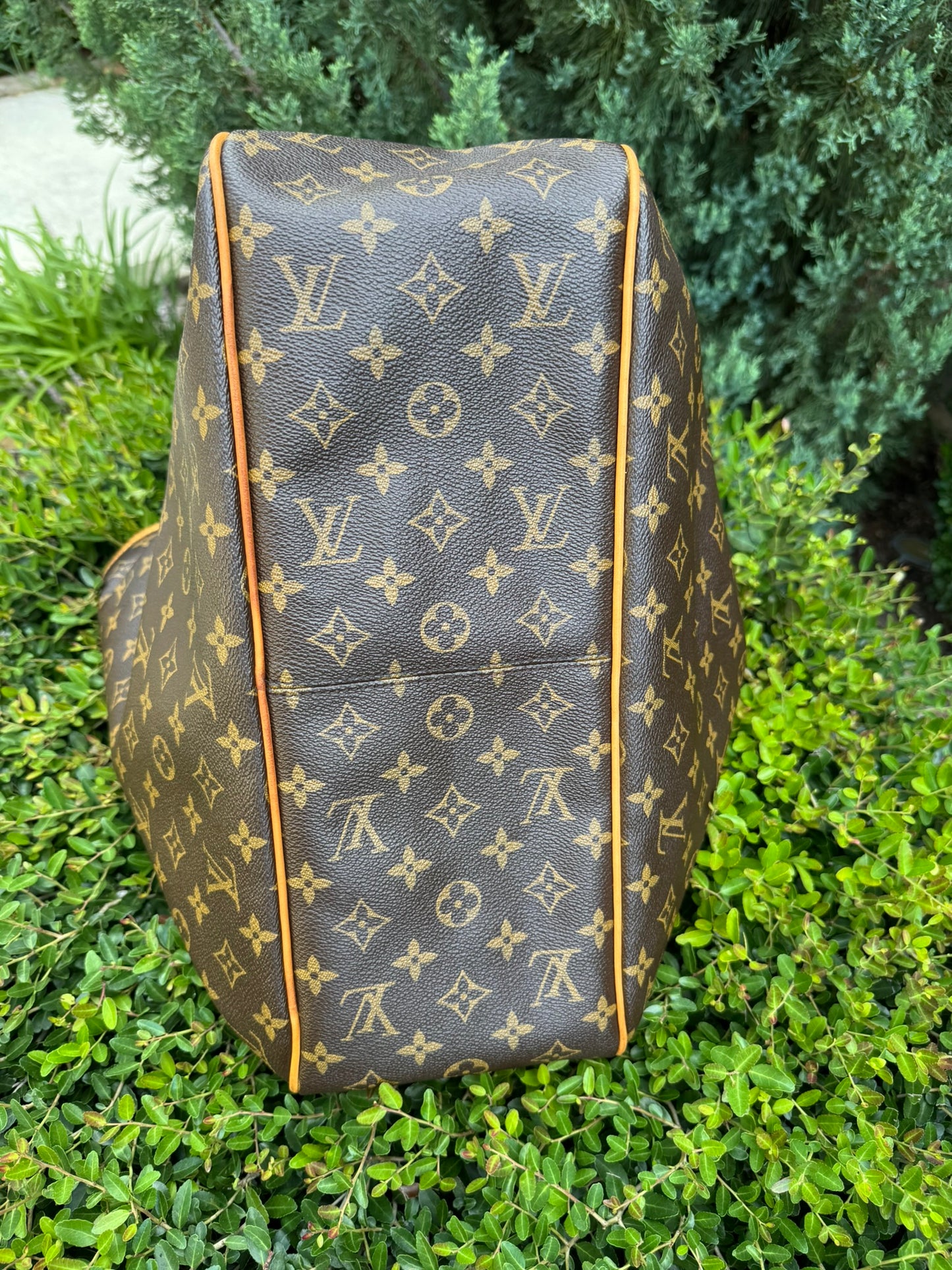 Louis Vuitton Delightful MM