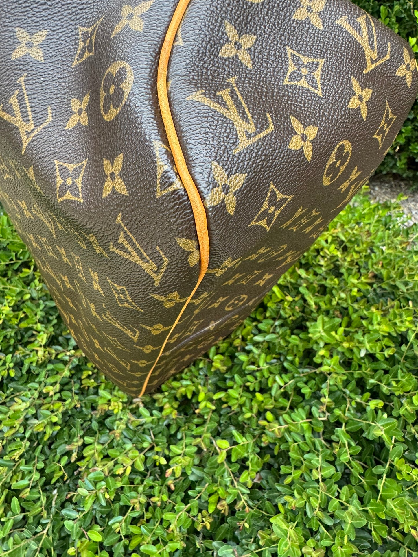 Louis Vuitton Delightful MM