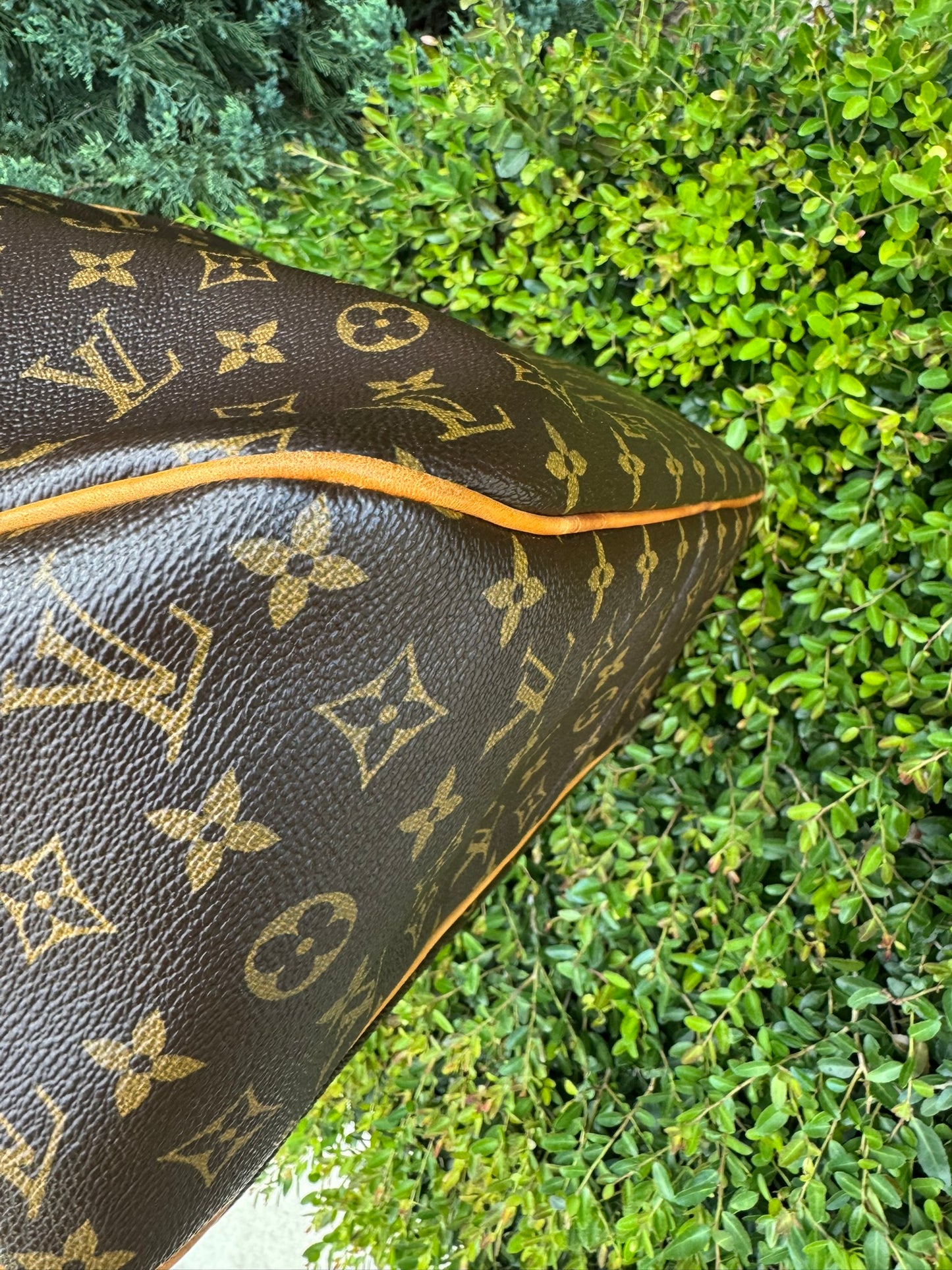 Louis Vuitton Delightful MM