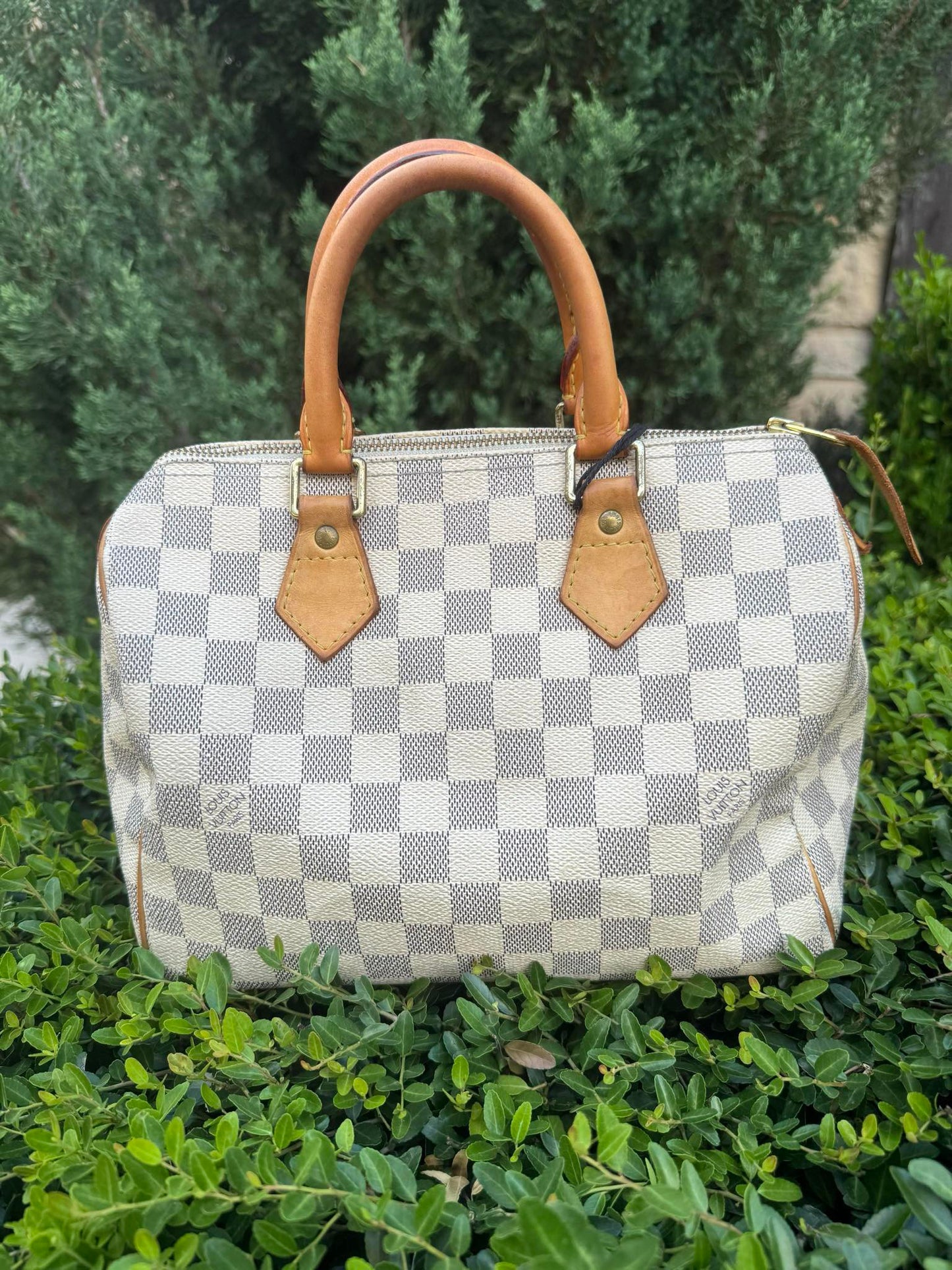 Louis Vuitton Speedy 25