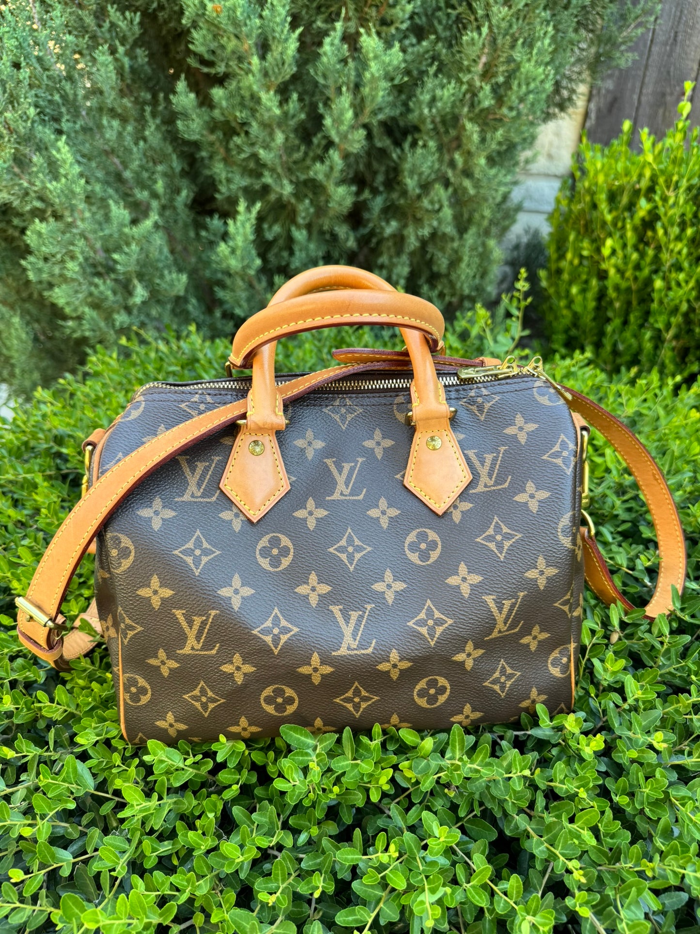 Louis Vuitton Speedy Bandoulière 25 in Monogram Canvas