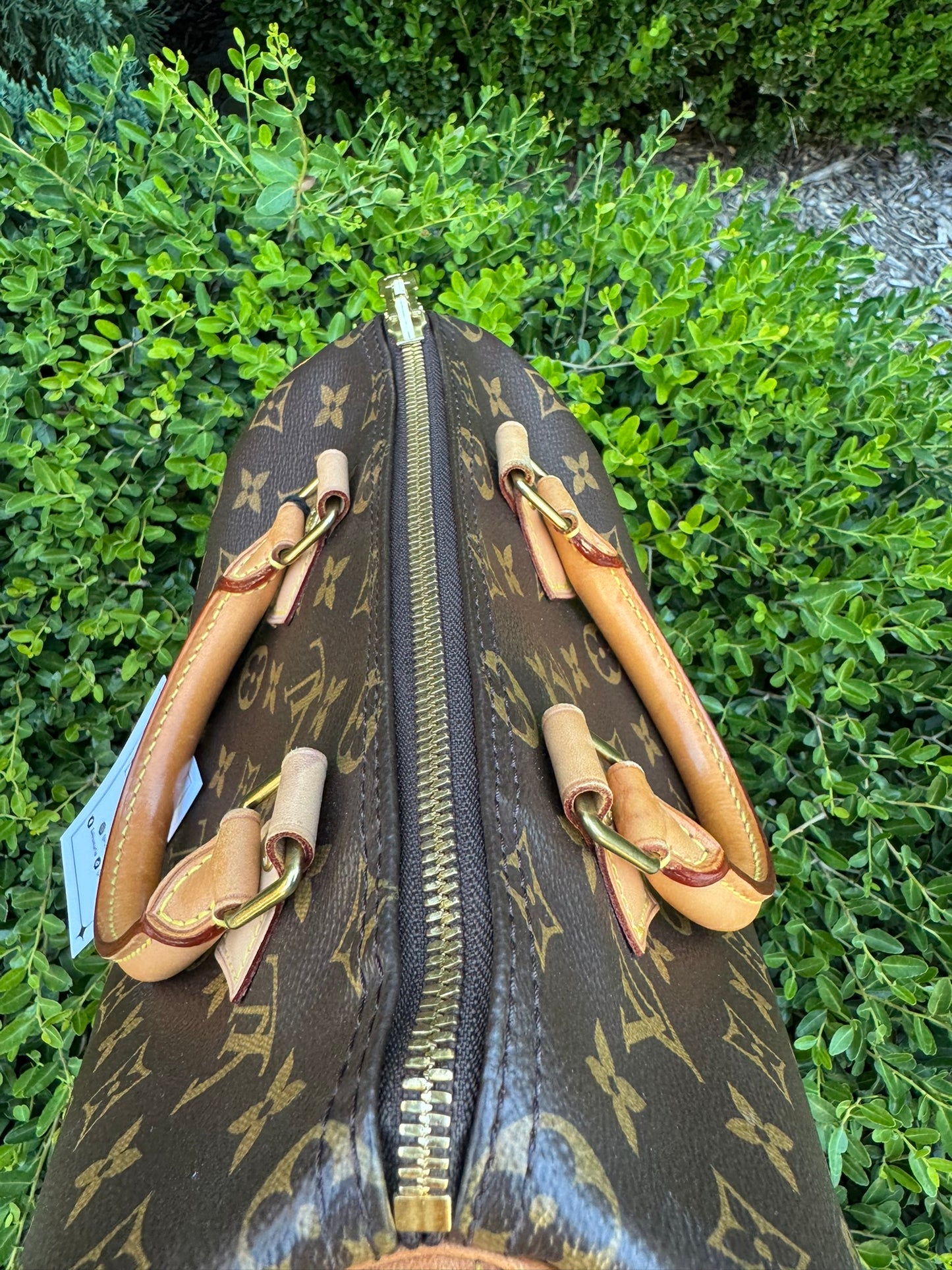 Louis Vuitton Speedy Bandoulière 25 in Monogram Canvas